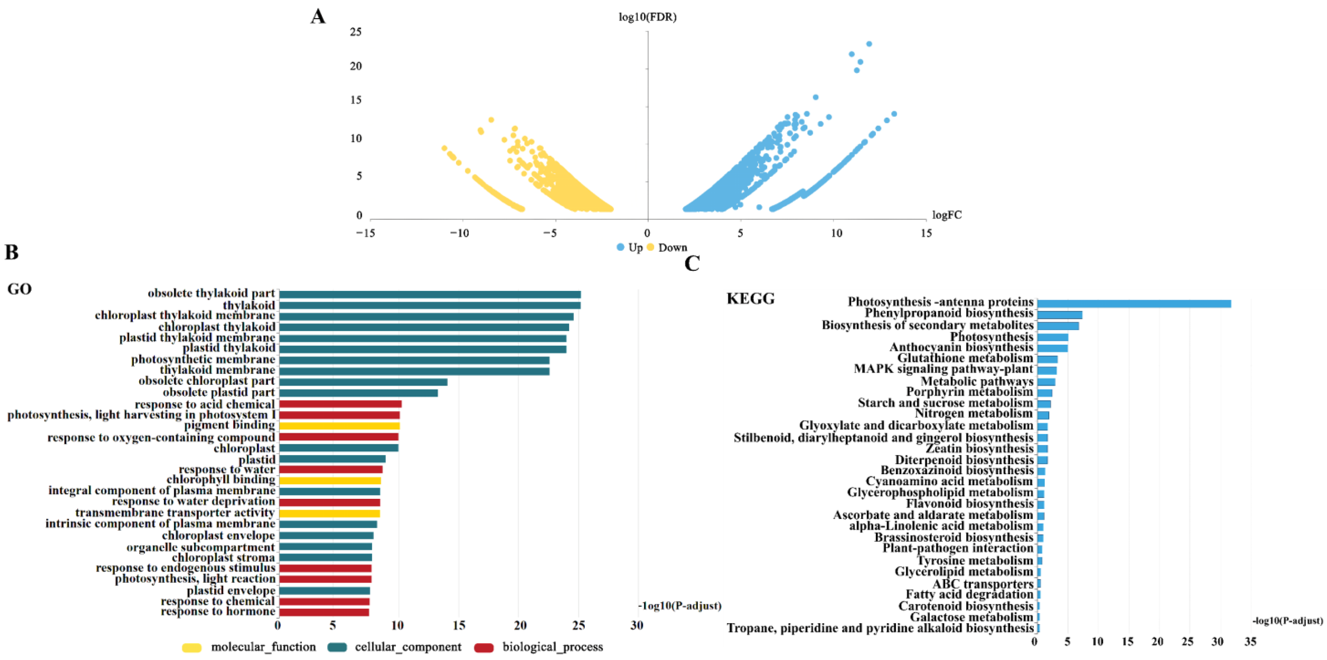 Agronomy 15 00980 g004