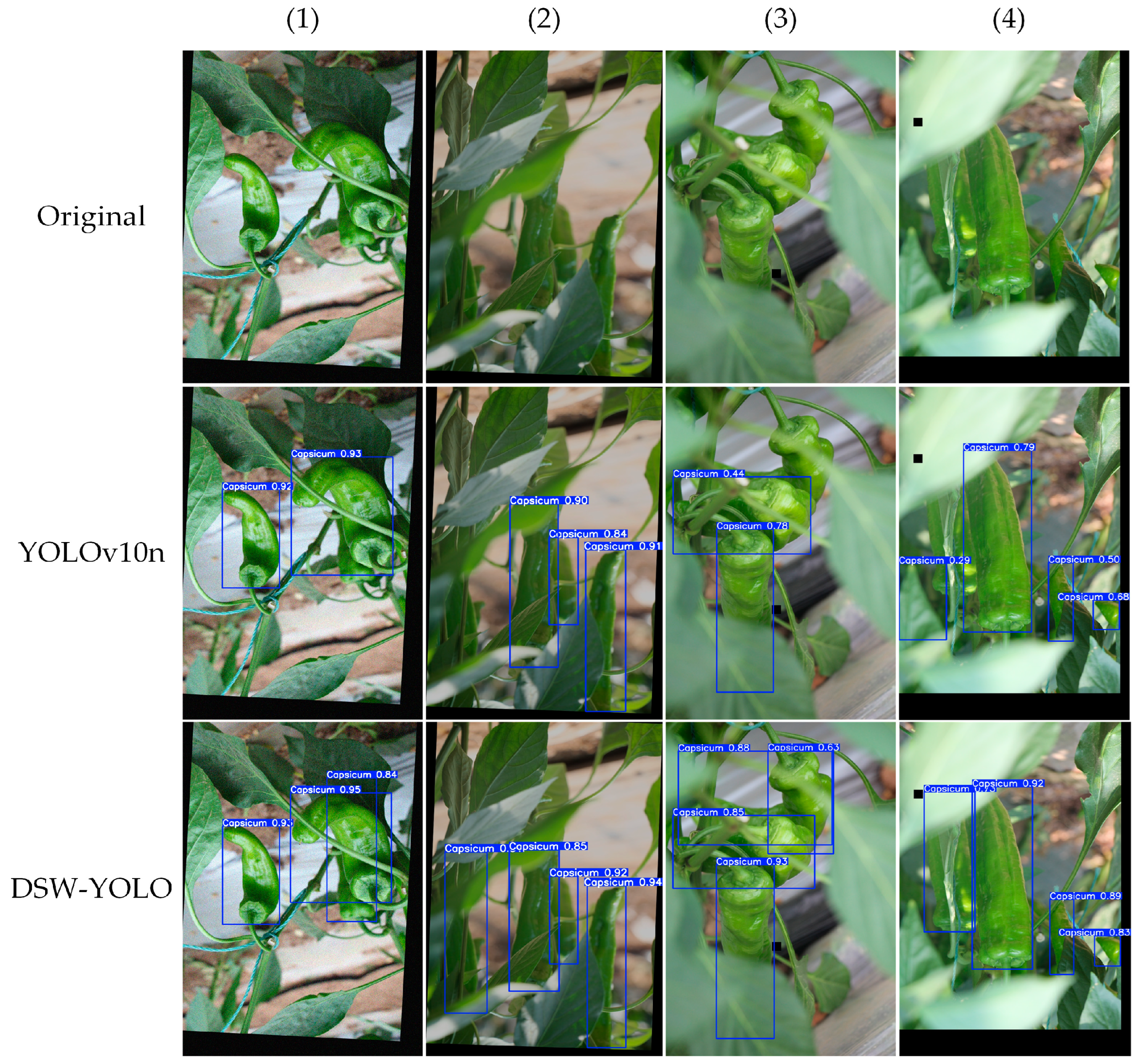 Agronomy 15 00981 g013