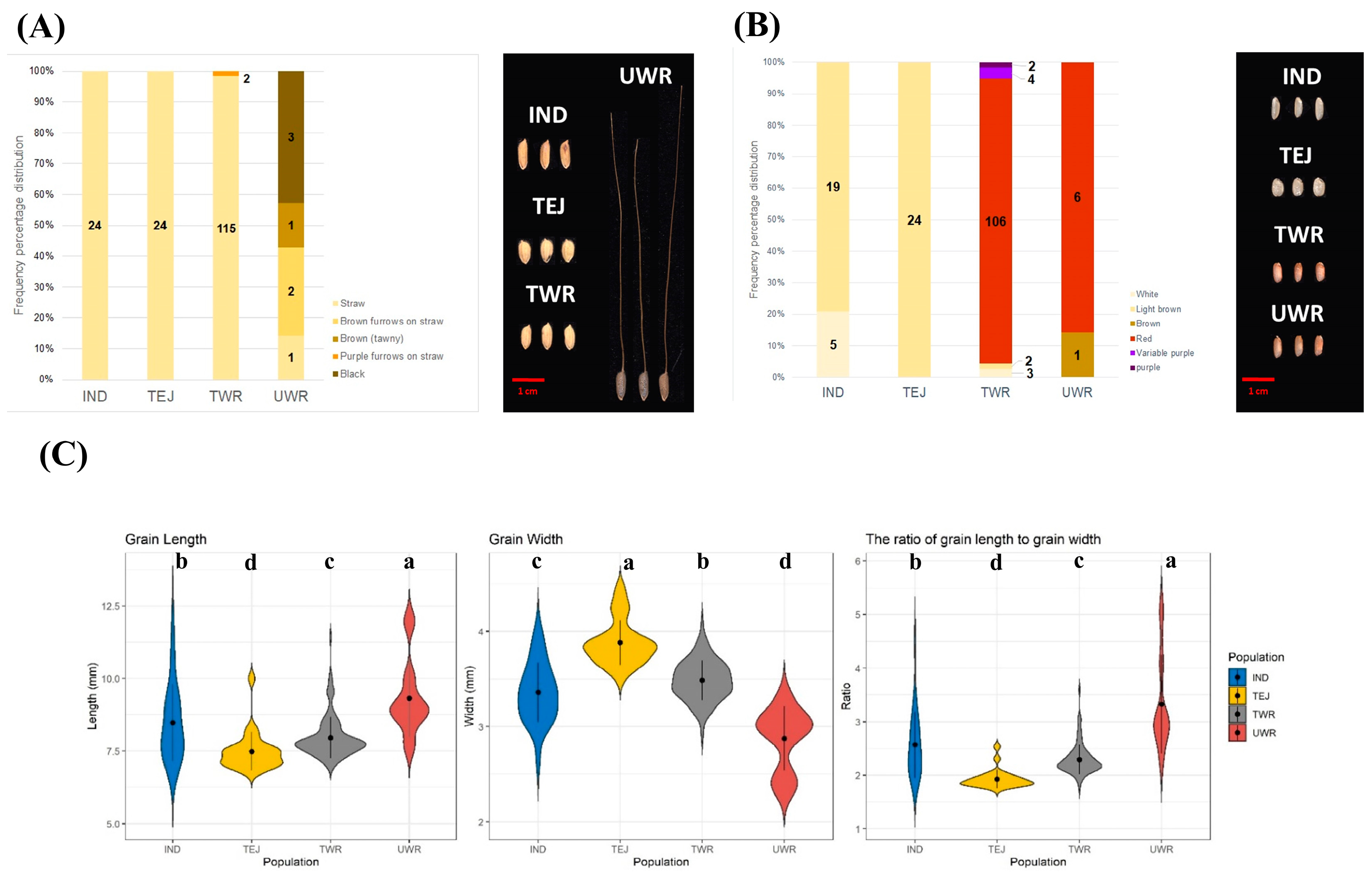 Agronomy 15 00984 g002