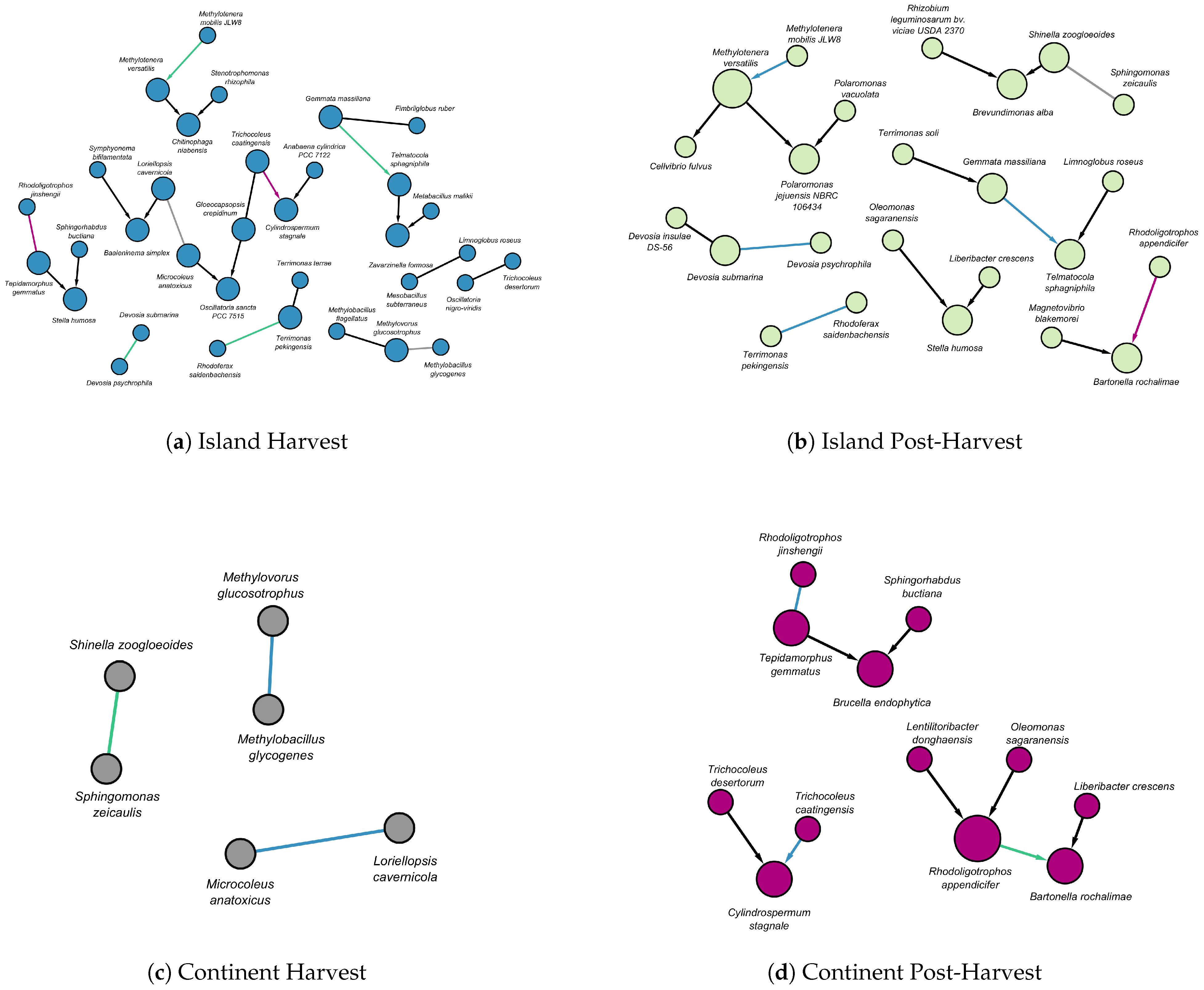 Agronomy 15 00987 g004