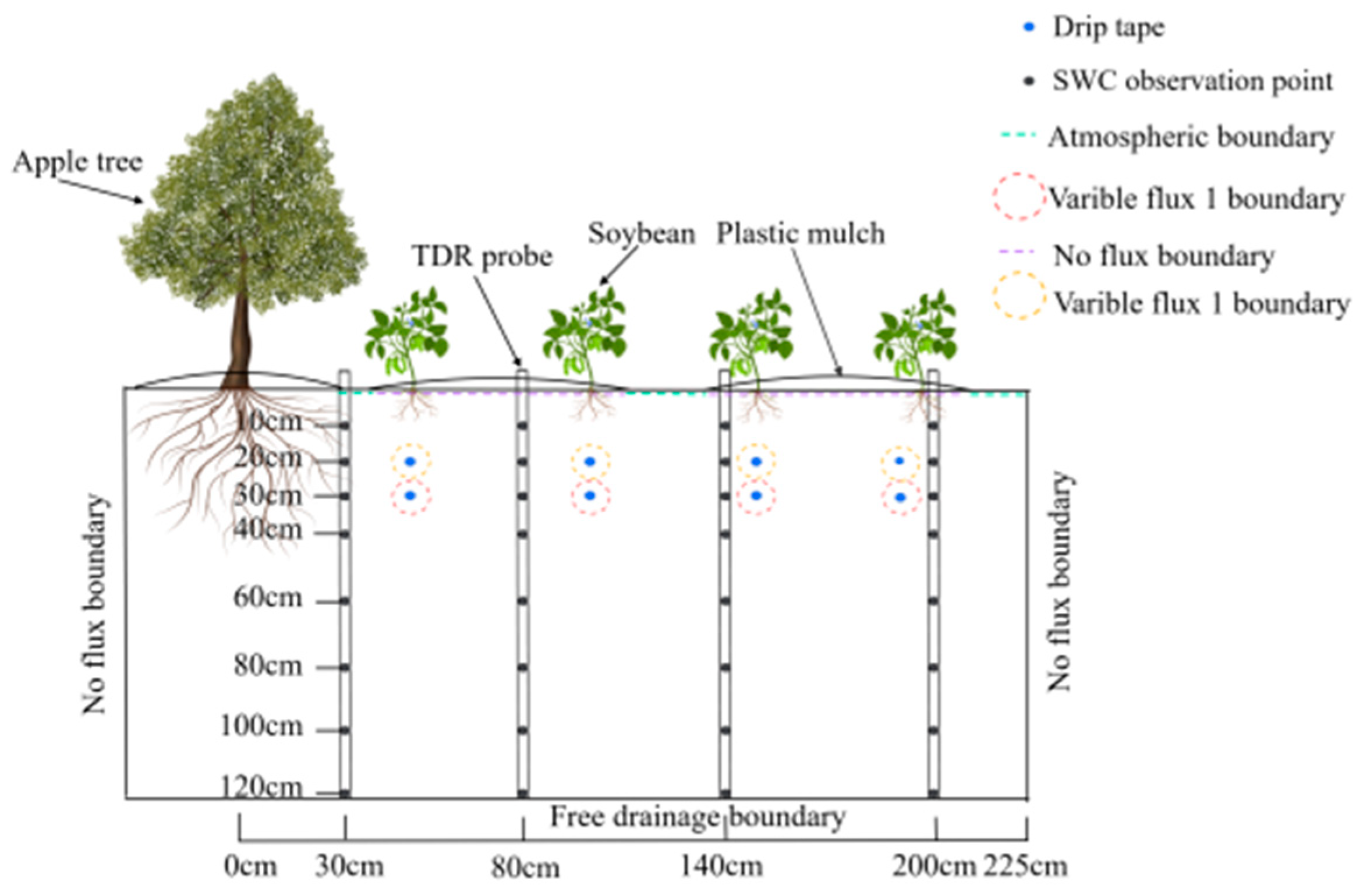 Agronomy 15 00993 g004