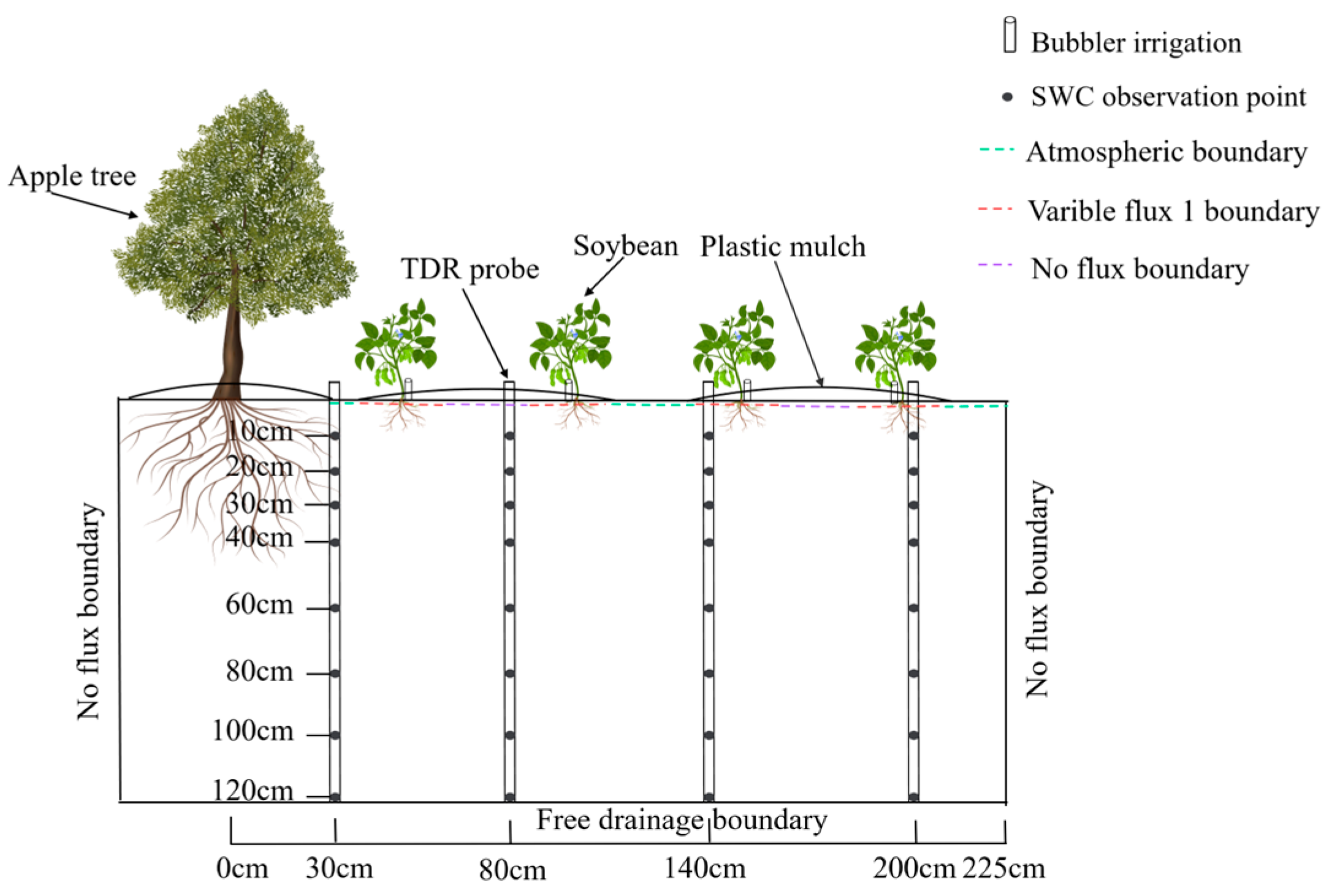 Agronomy 15 00993 g005