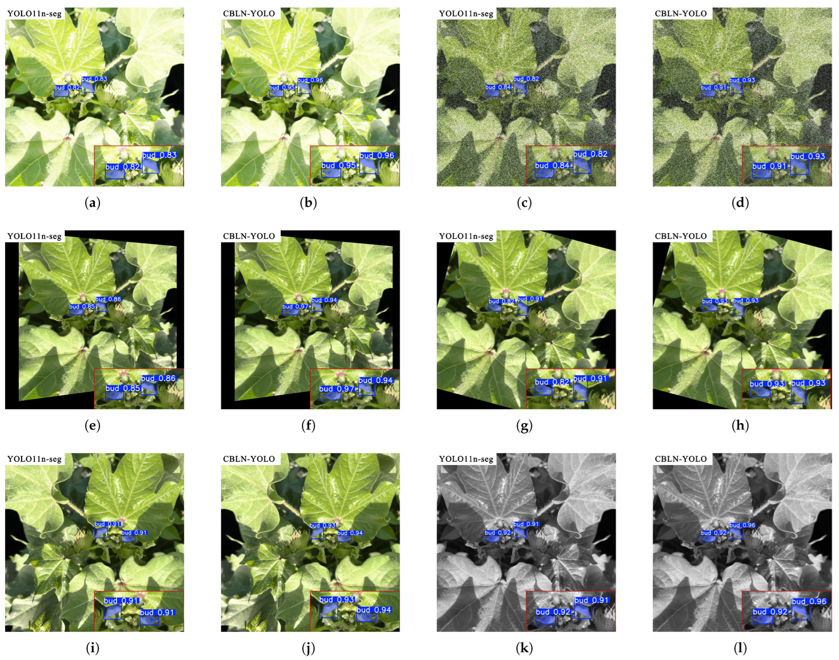 Agronomy 15 00996 g012