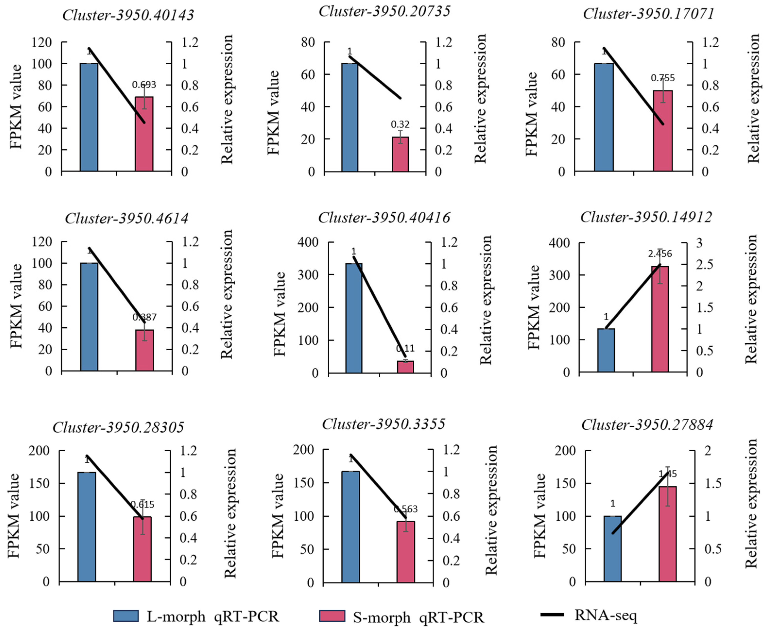 Agronomy 15 00997 g007