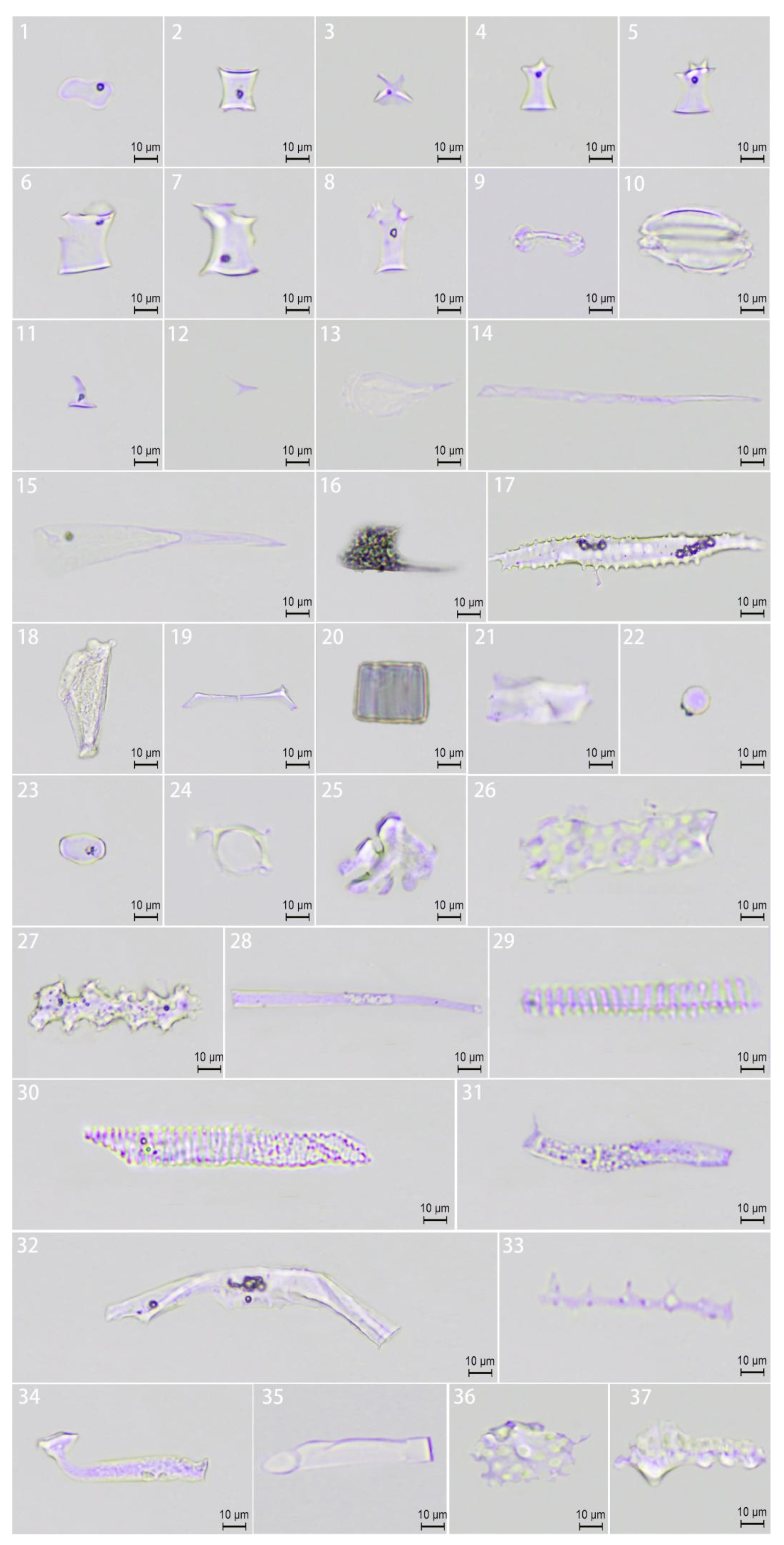 Agronomy 15 00999 g005