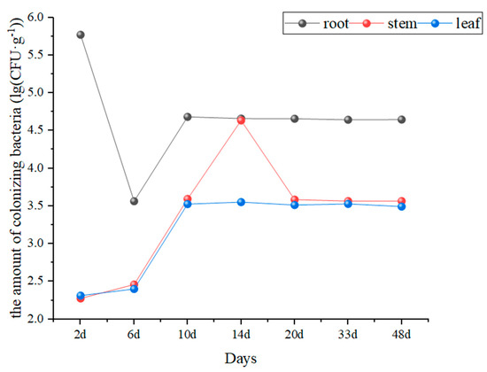 Effect of Bacillus velezensis GHt-q6 on Cucumber Root Soil