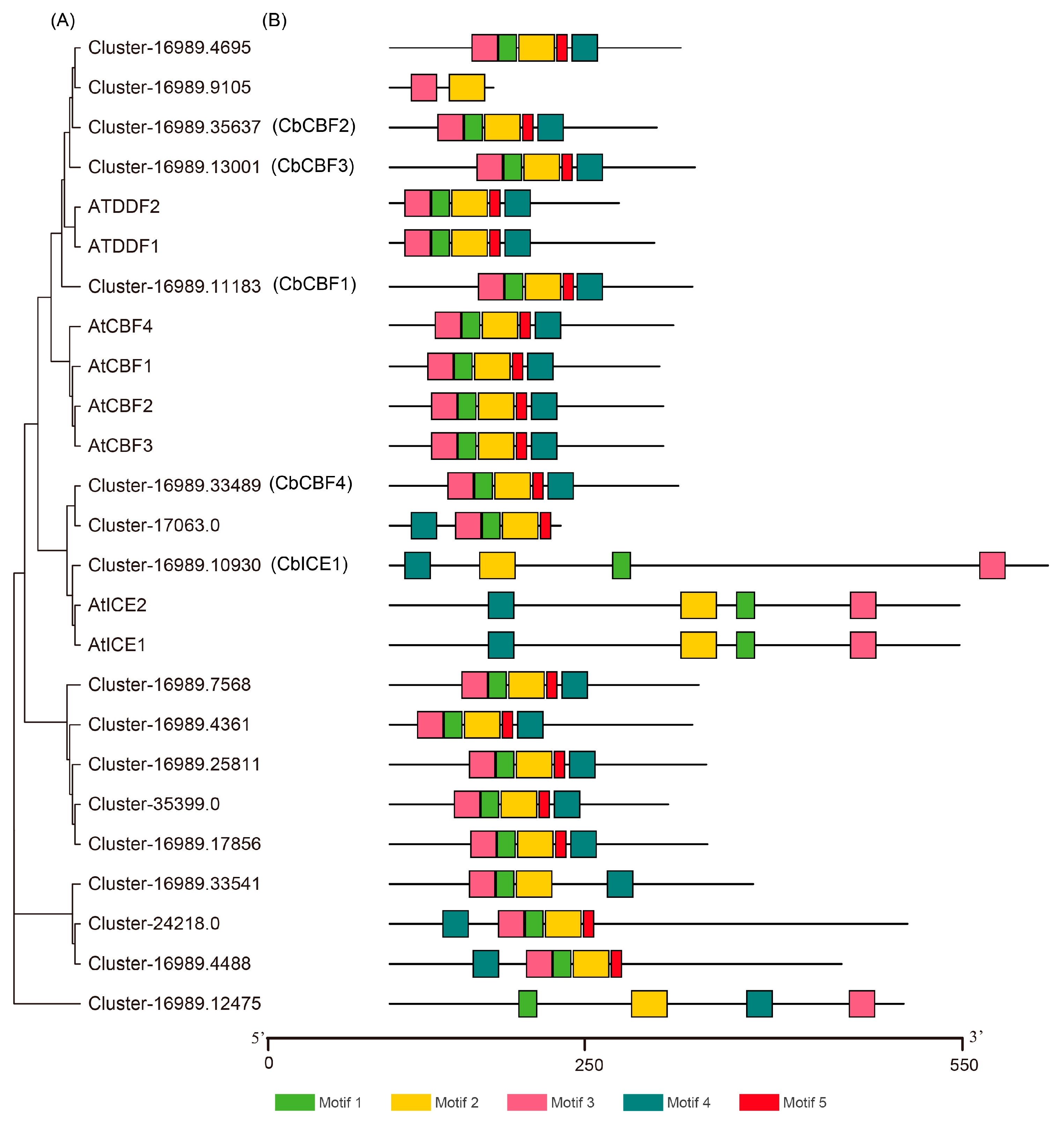 Agronomy 15 01001 g001