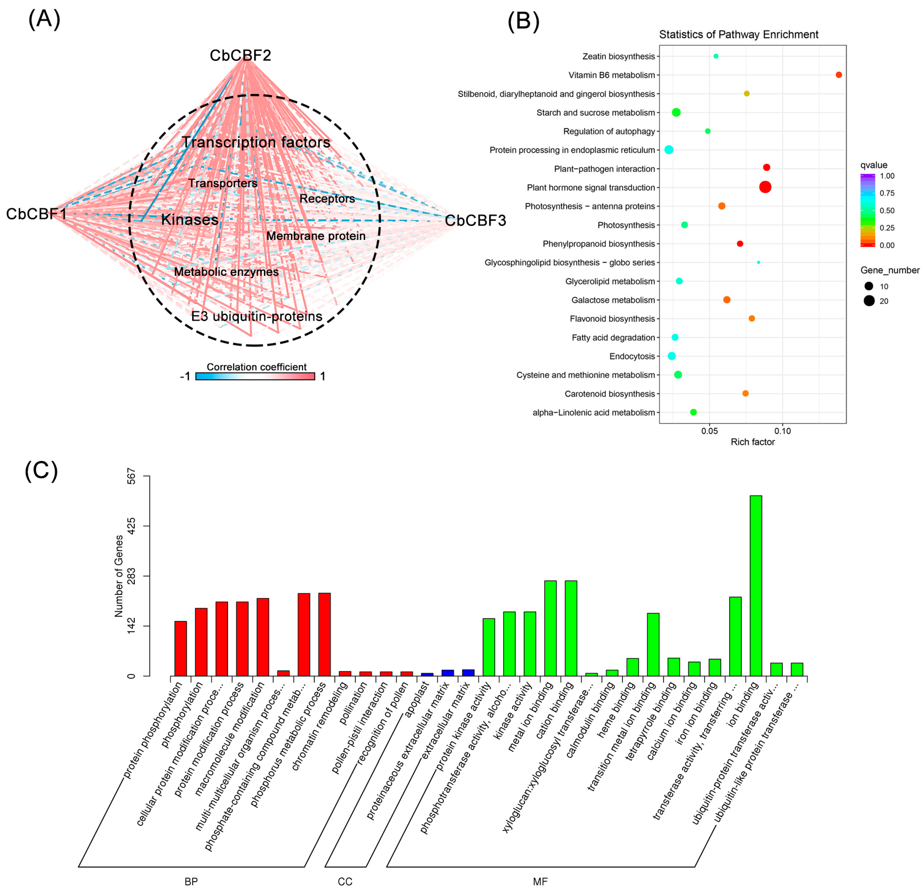 Agronomy 15 01001 g003