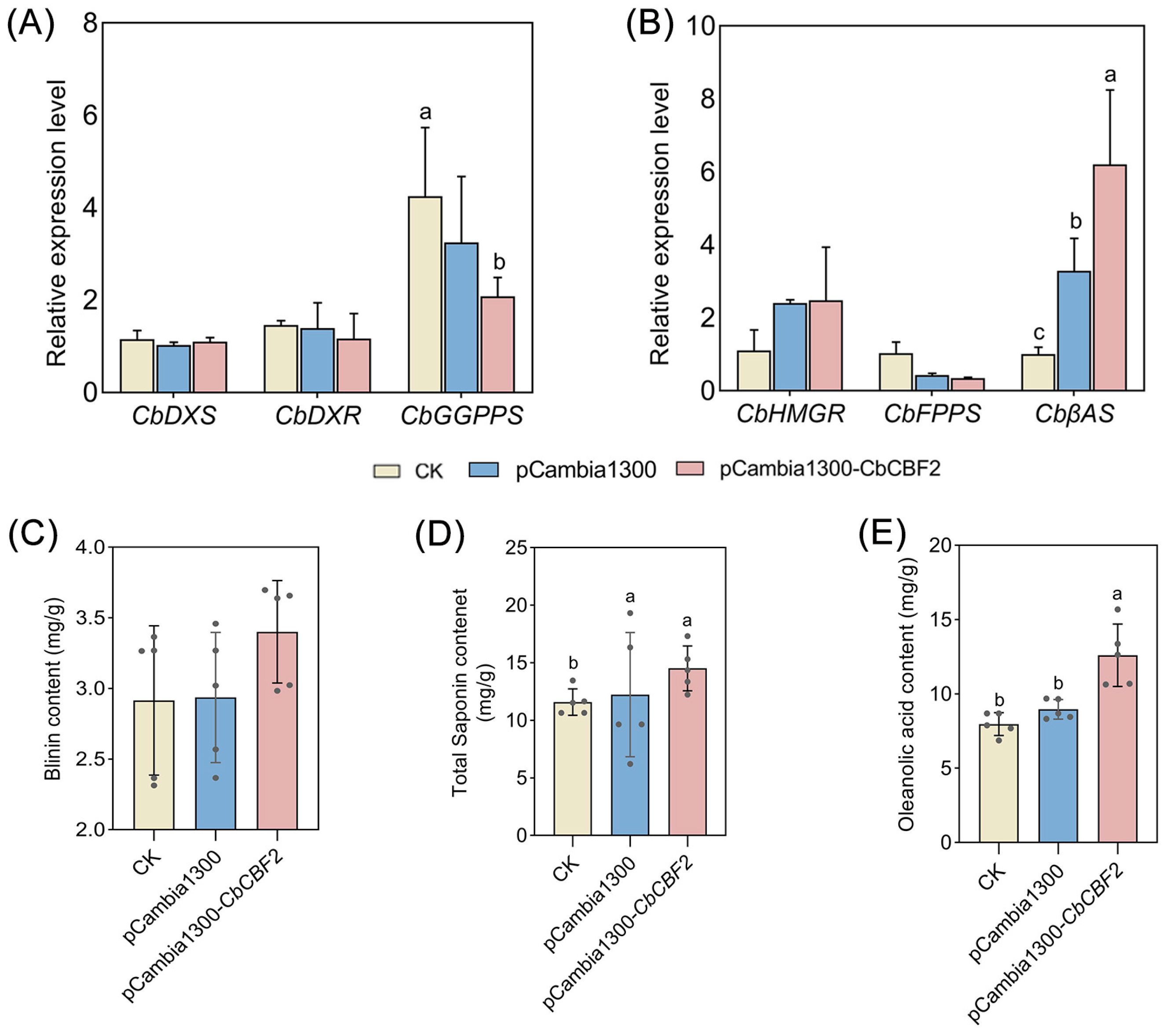 Agronomy 15 01001 g005