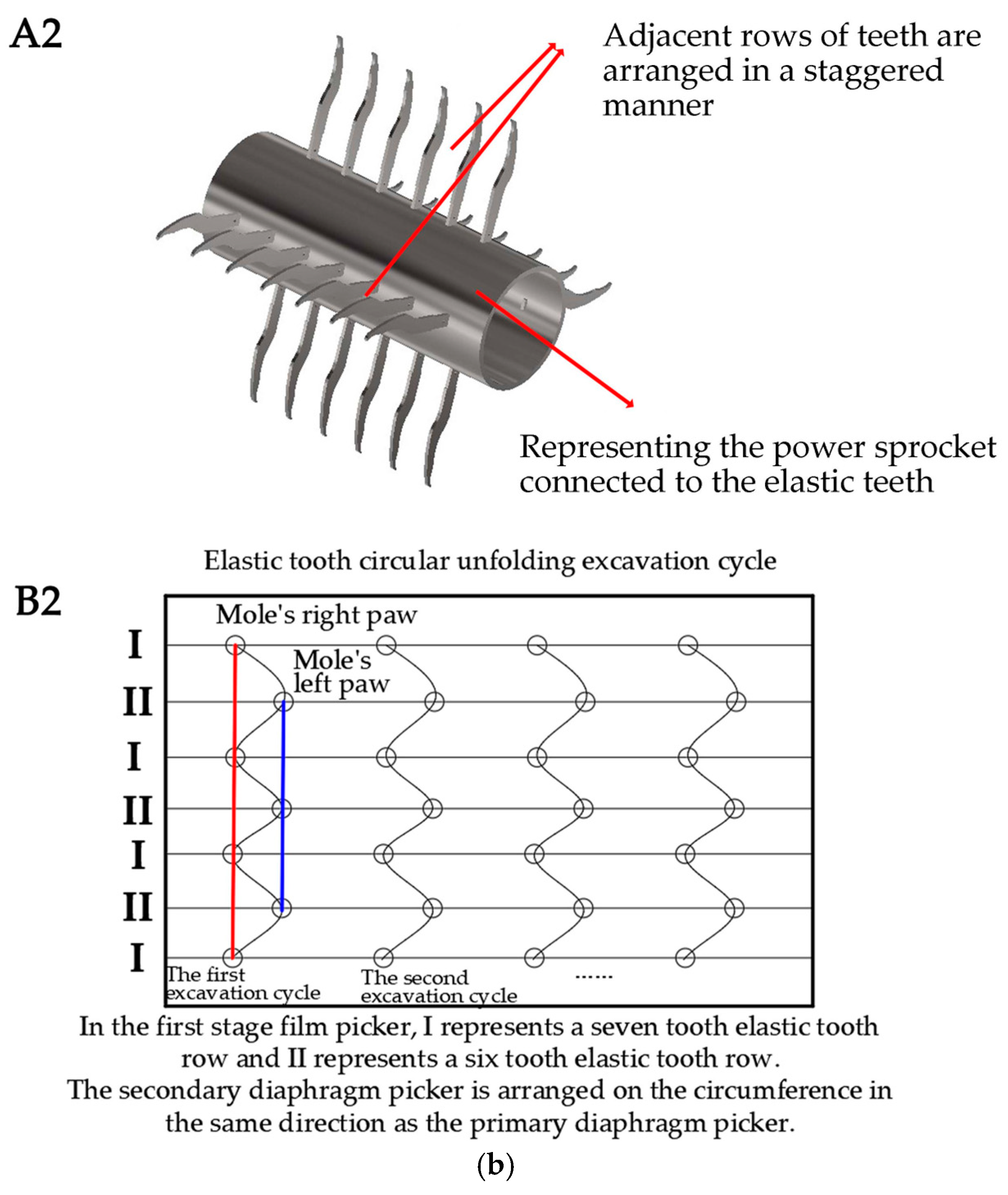 Agronomy 15 01002 g006b