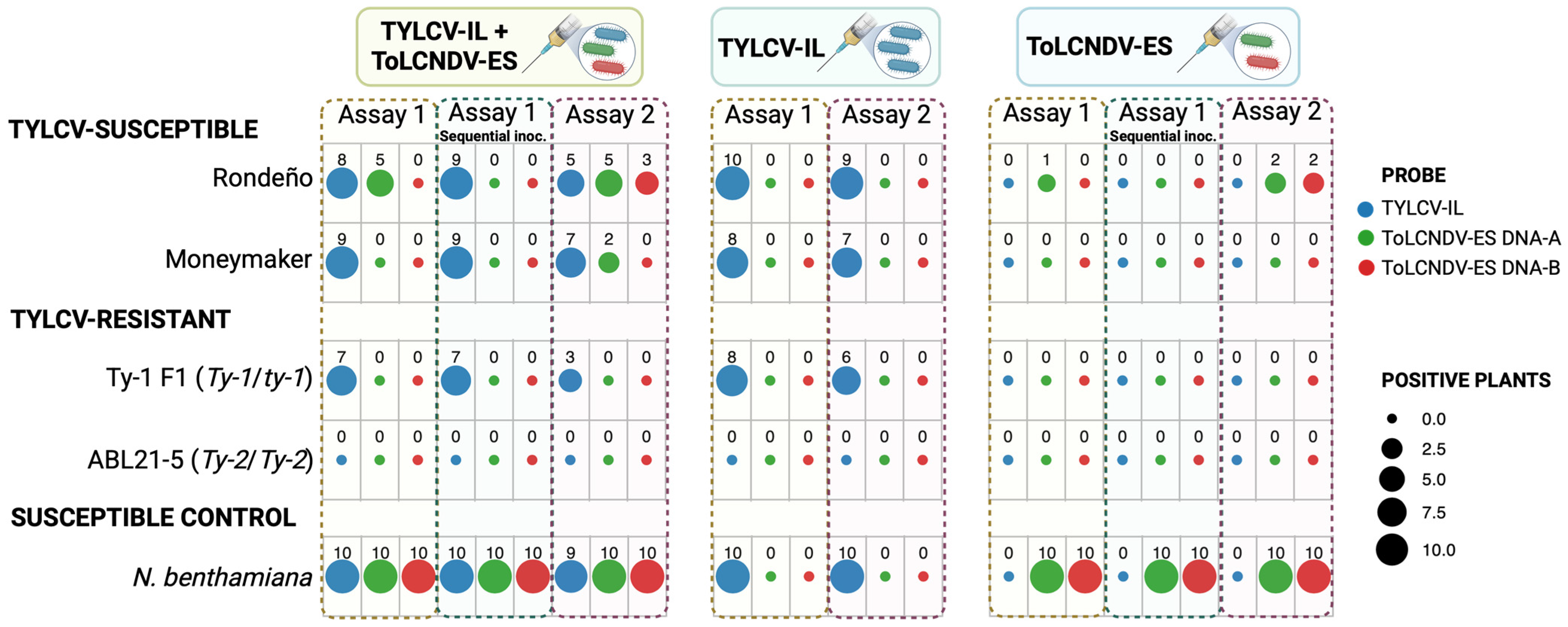 Agronomy 15 01006 g003