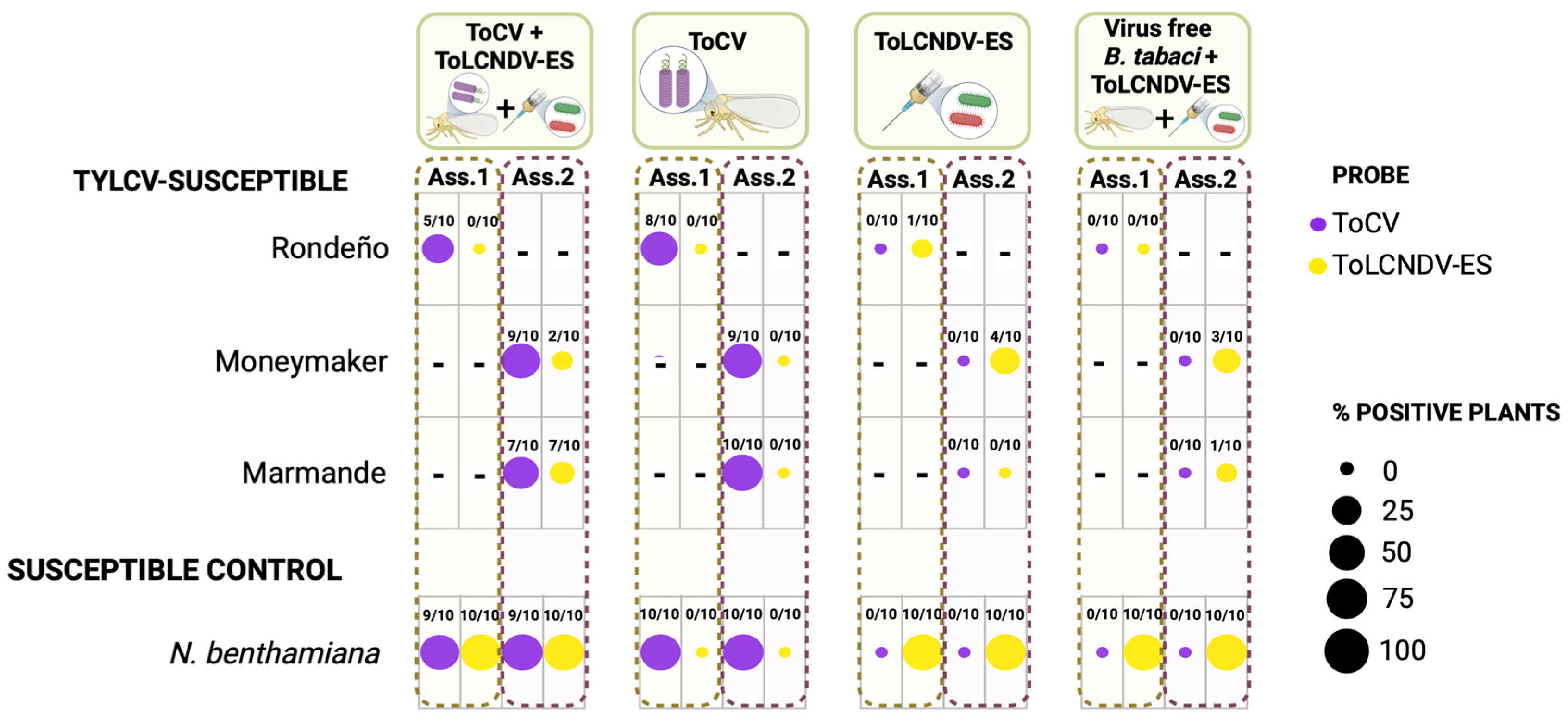 Agronomy 15 01006 g005