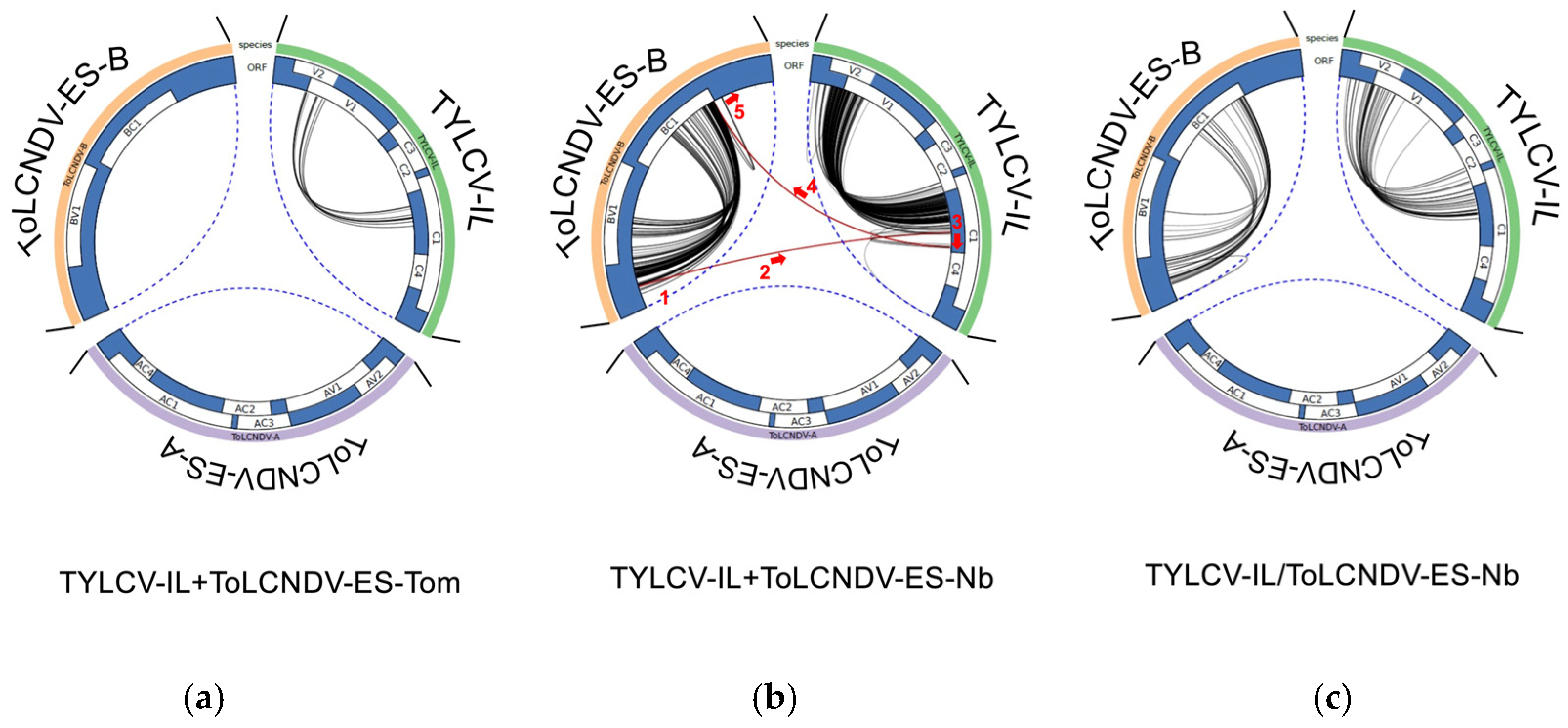 Agronomy 15 01006 g007