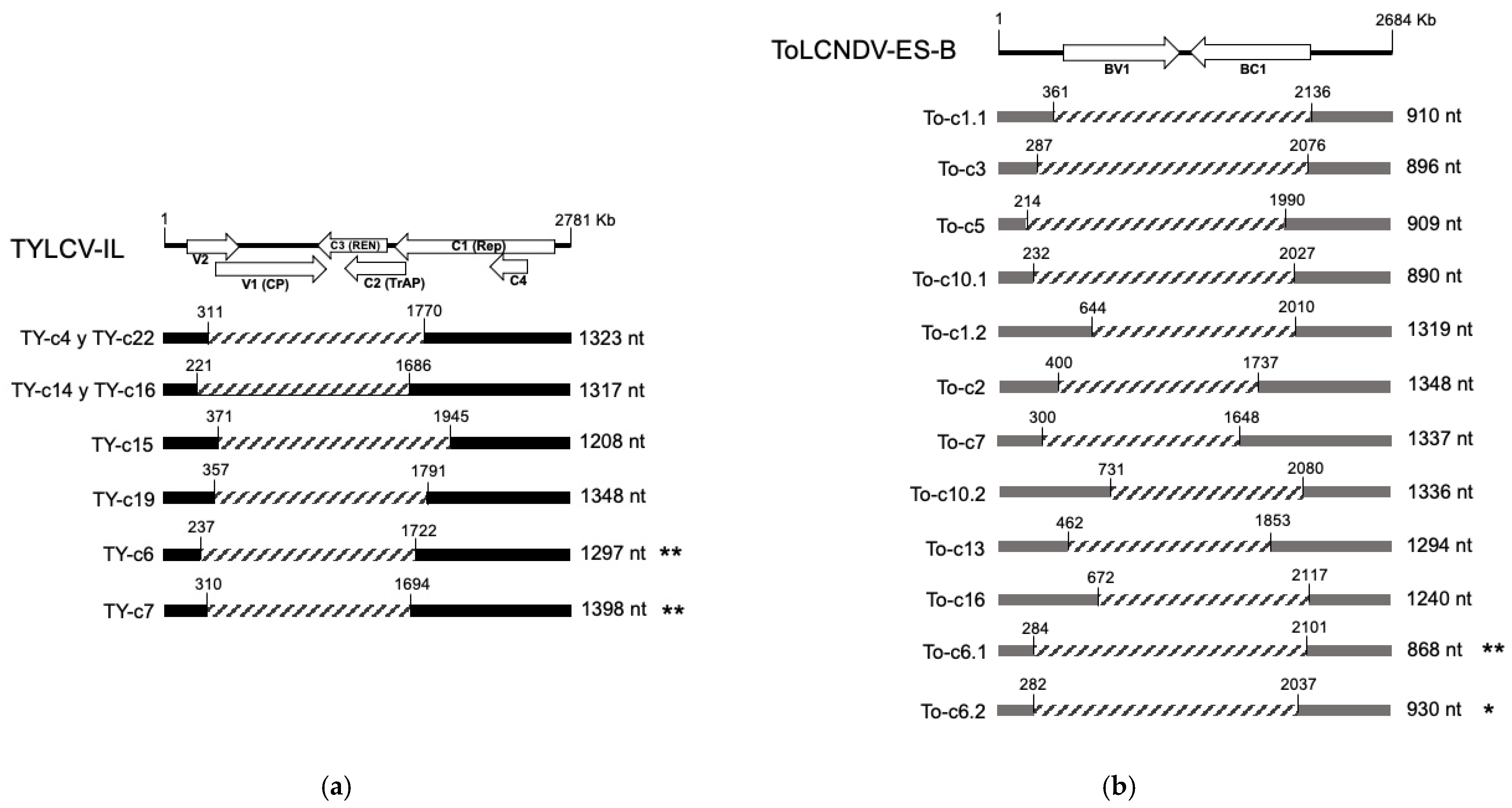 Agronomy 15 01006 g008