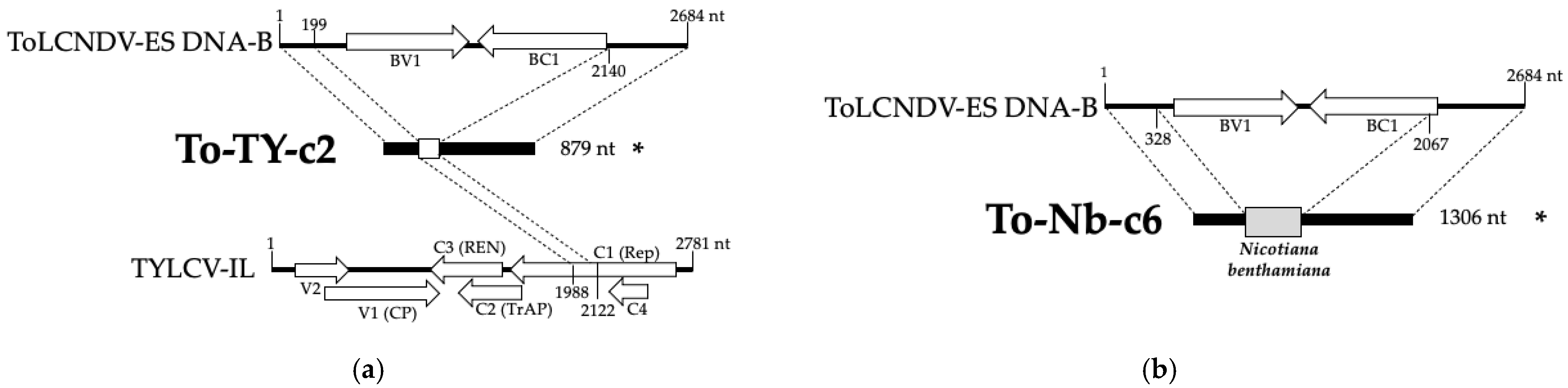 Agronomy 15 01006 g009