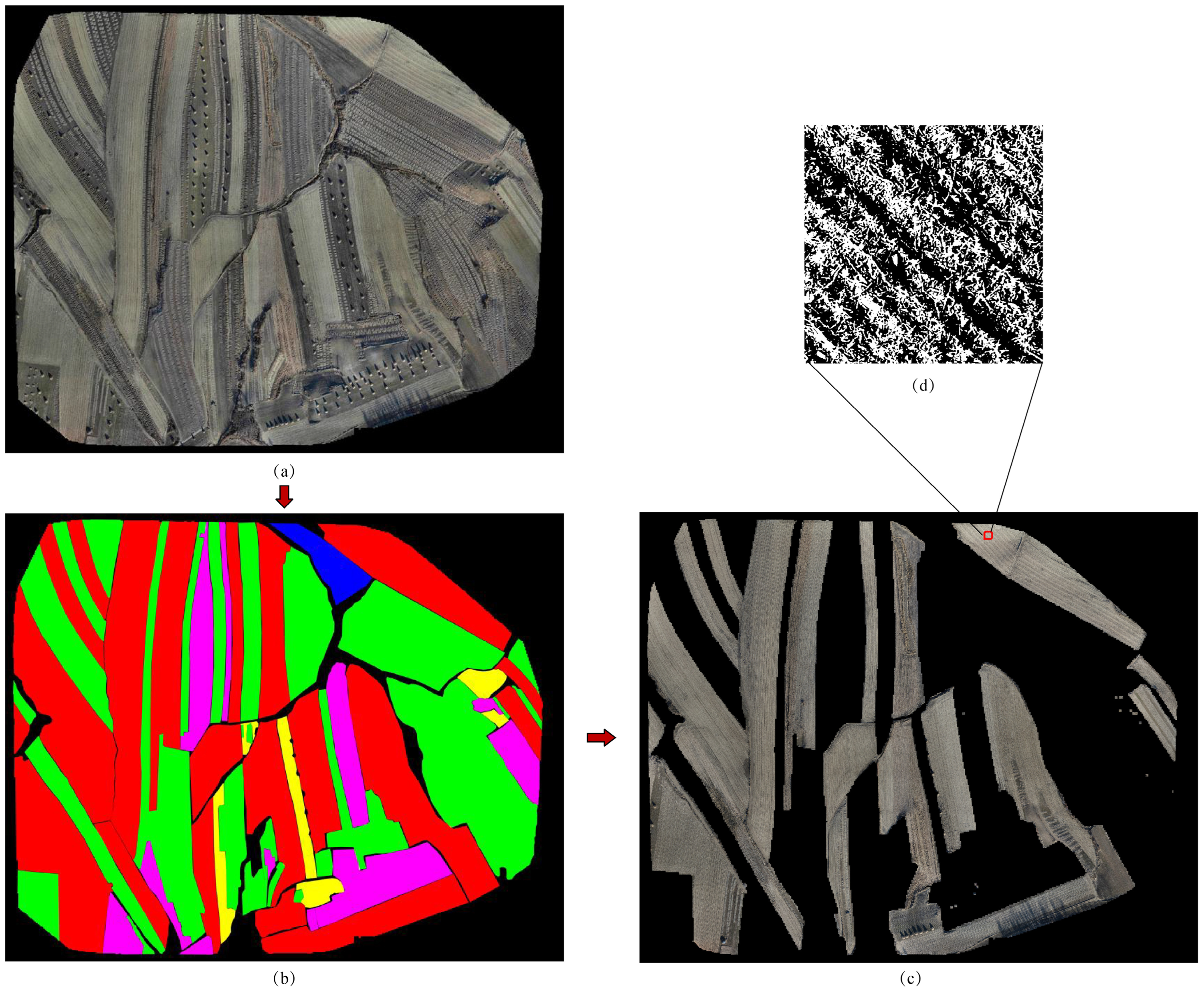 Agronomy 15 01011 g012