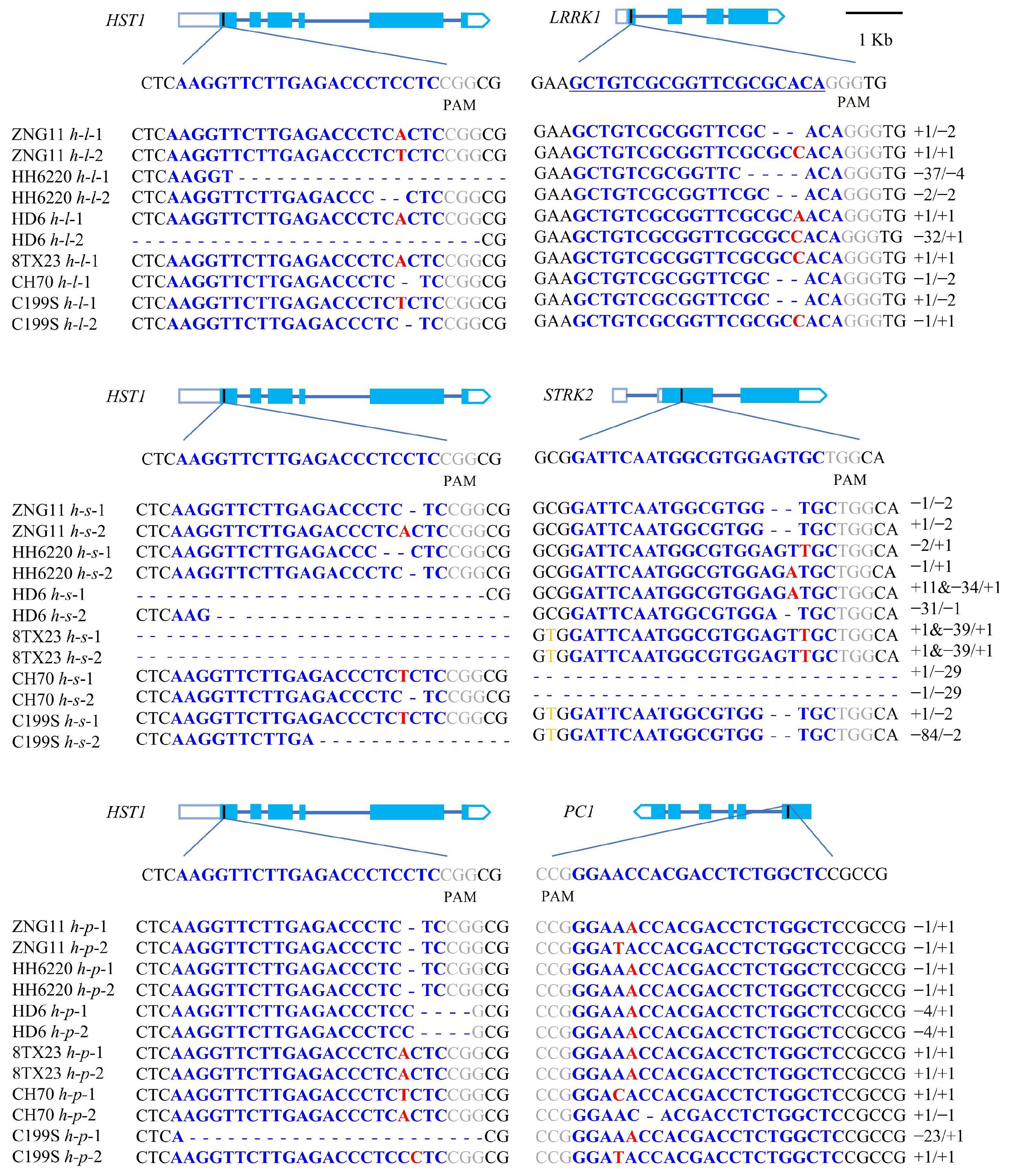 Agronomy 15 01014 g002