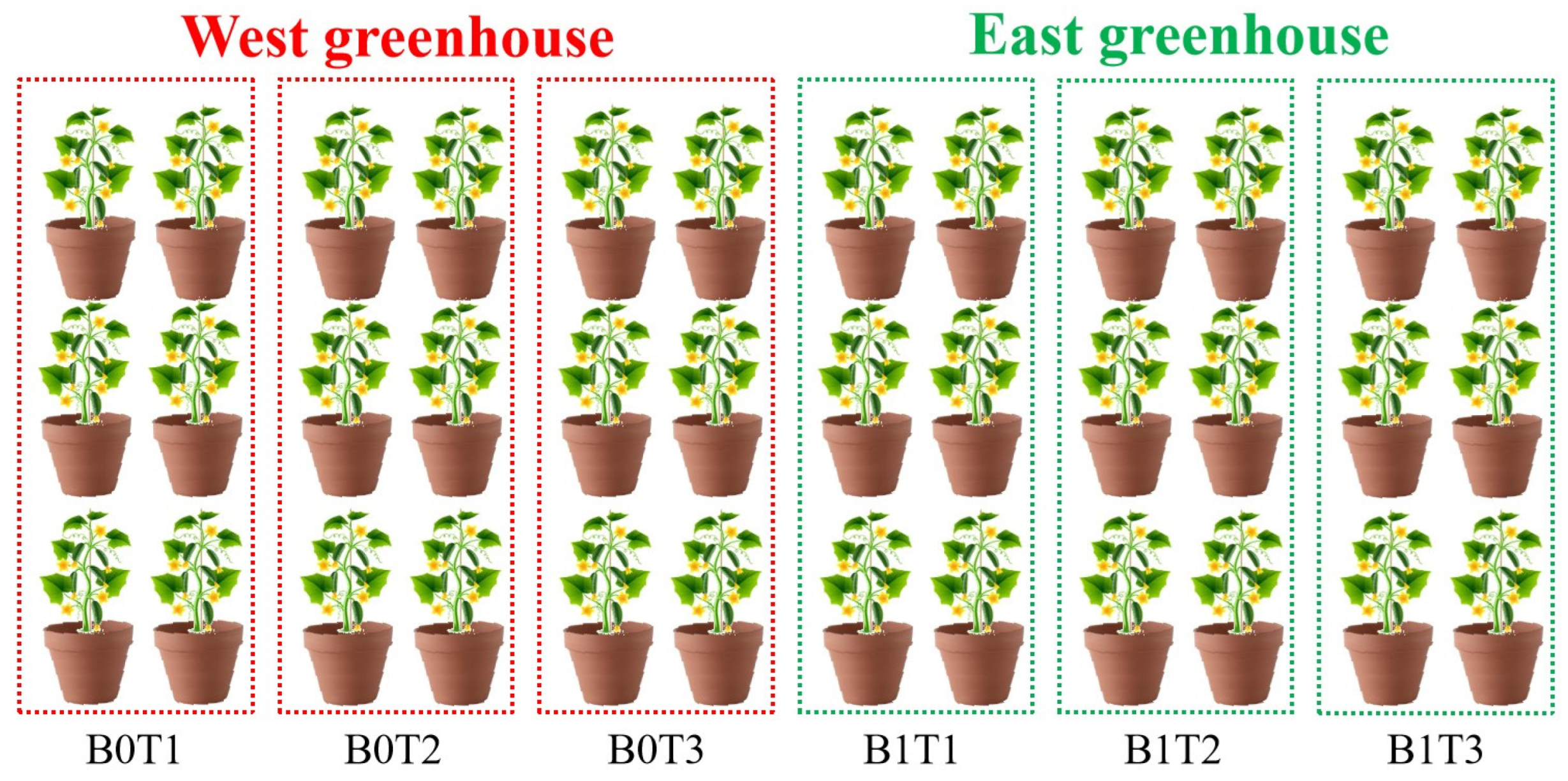 Agronomy 15 01017 g001