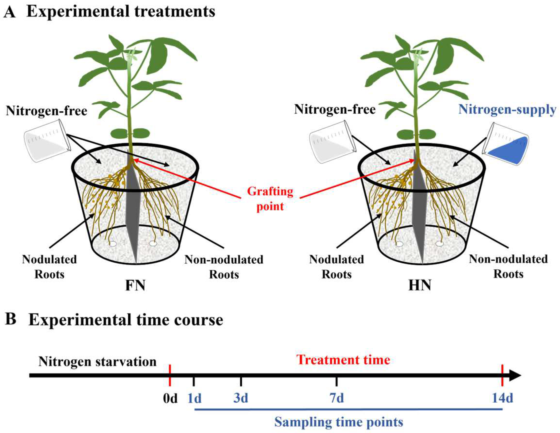 Agronomy 15 01032 g001 Agronomy 15 01032 g001