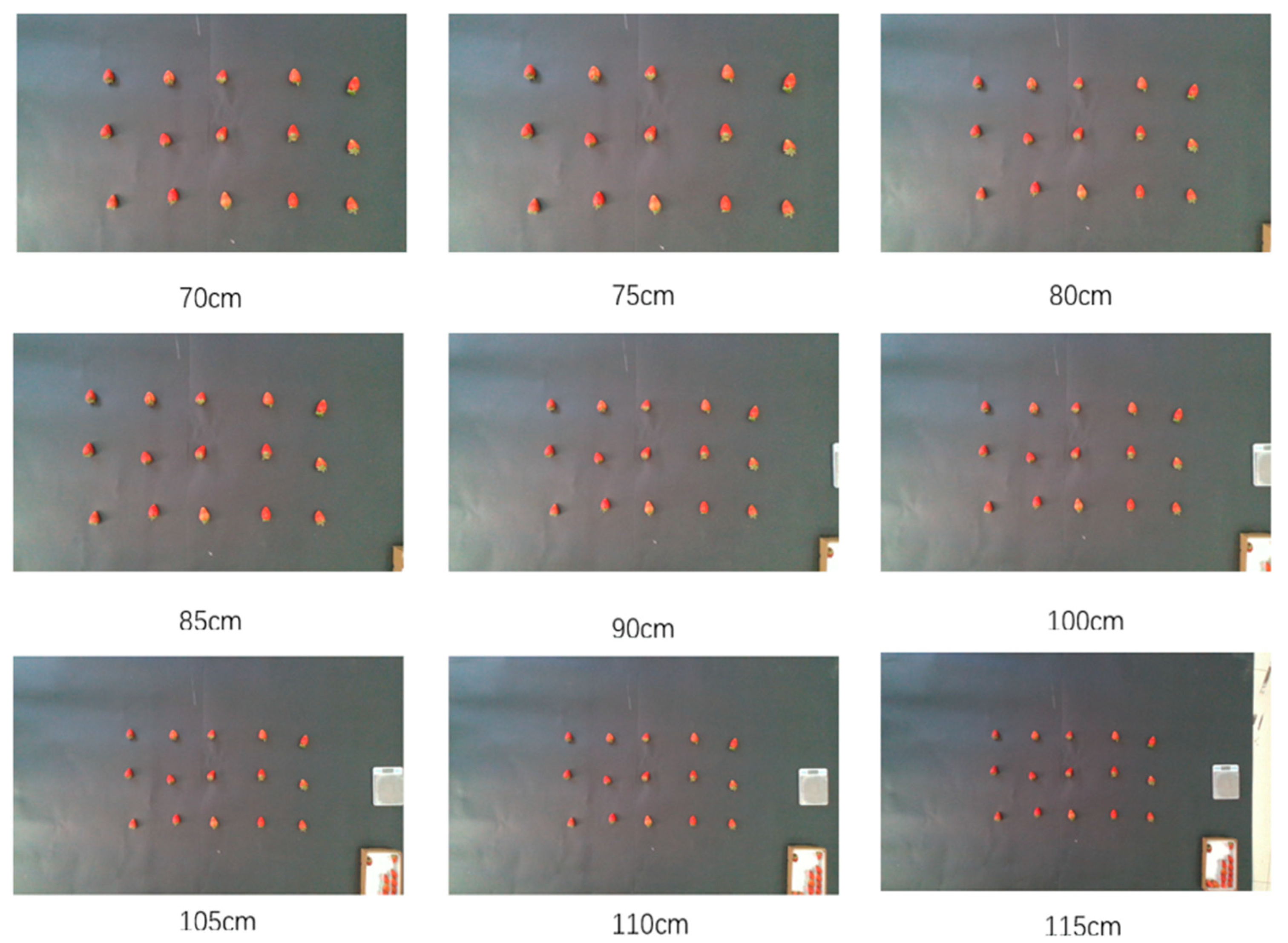 Agronomy 15 01036 g002