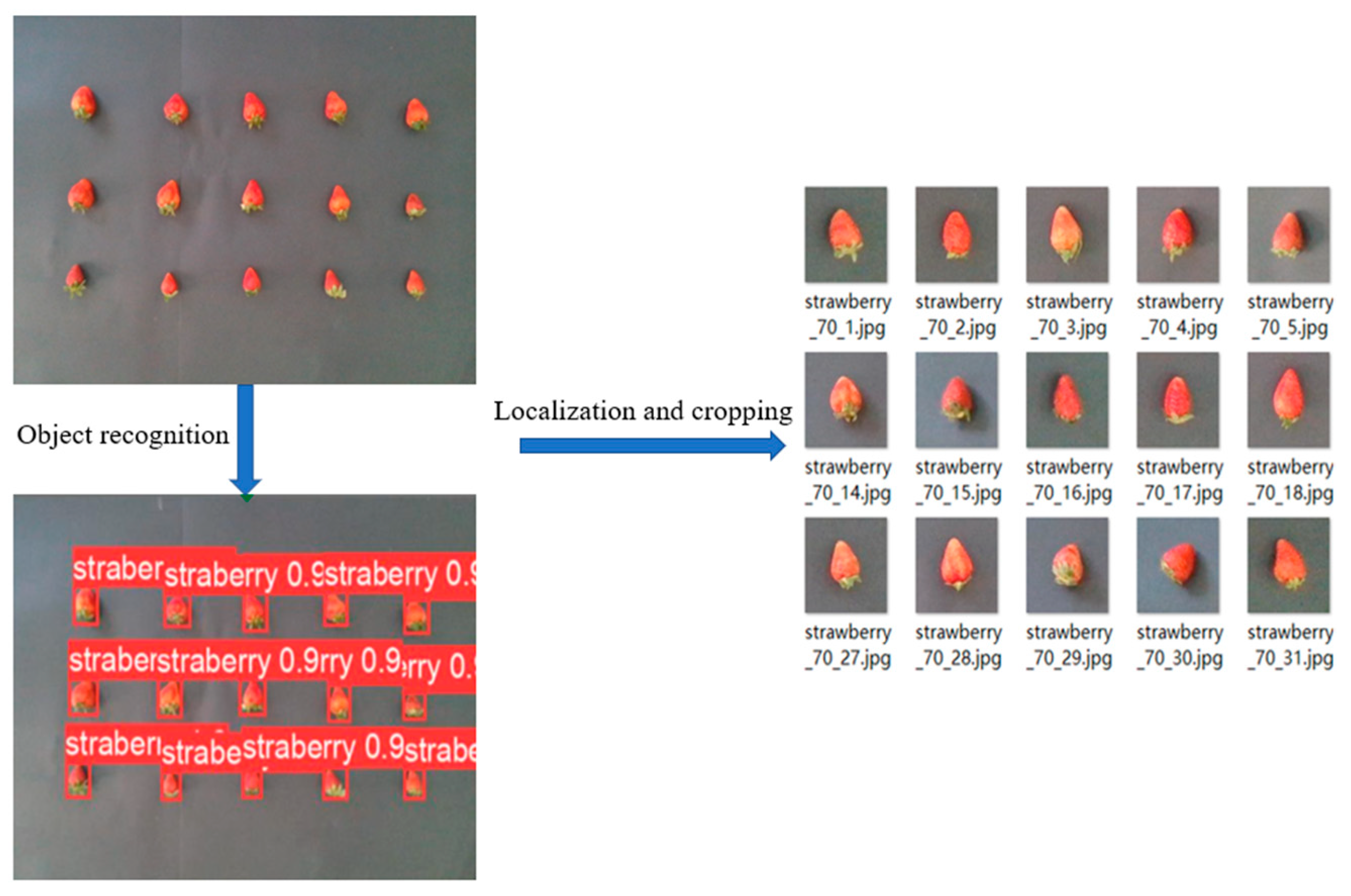 Agronomy 15 01036 g003