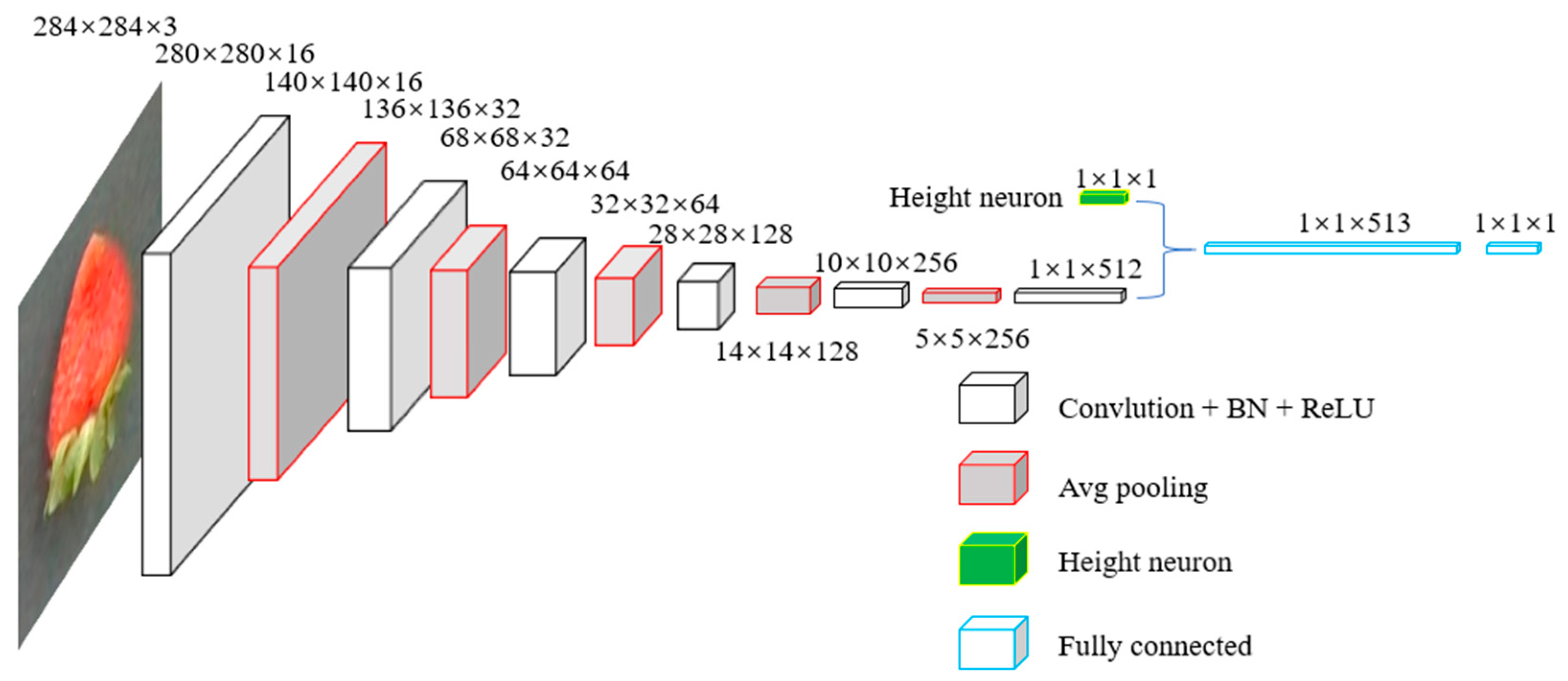 Agronomy 15 01036 g008