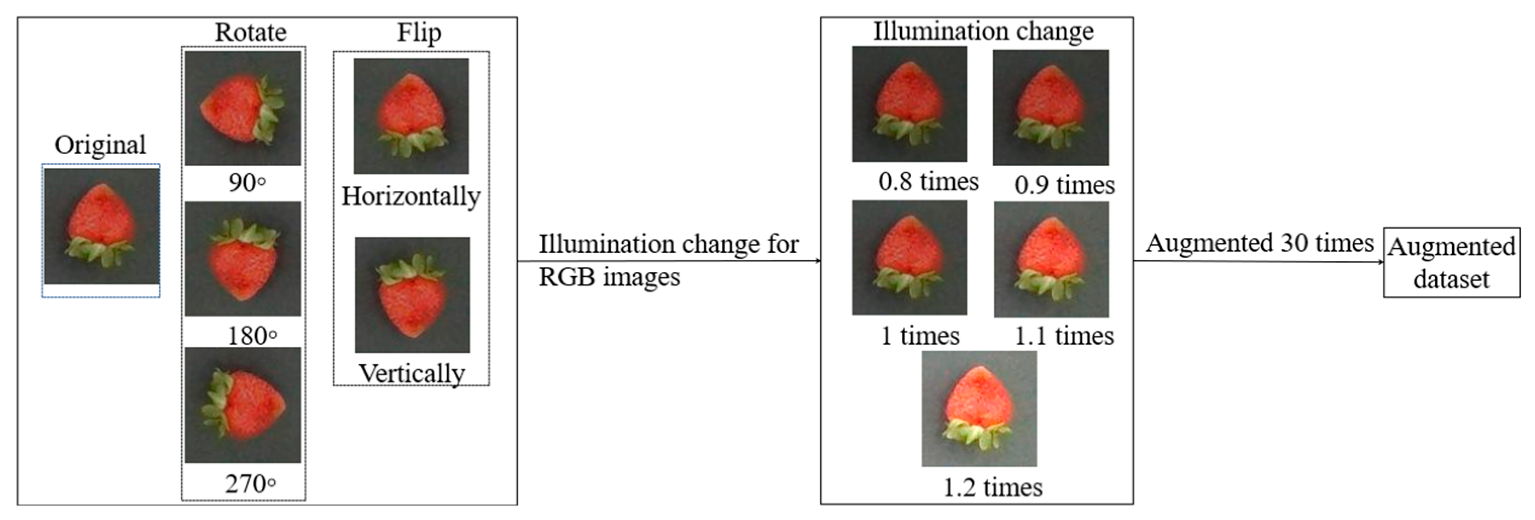 Agronomy 15 01036 g009