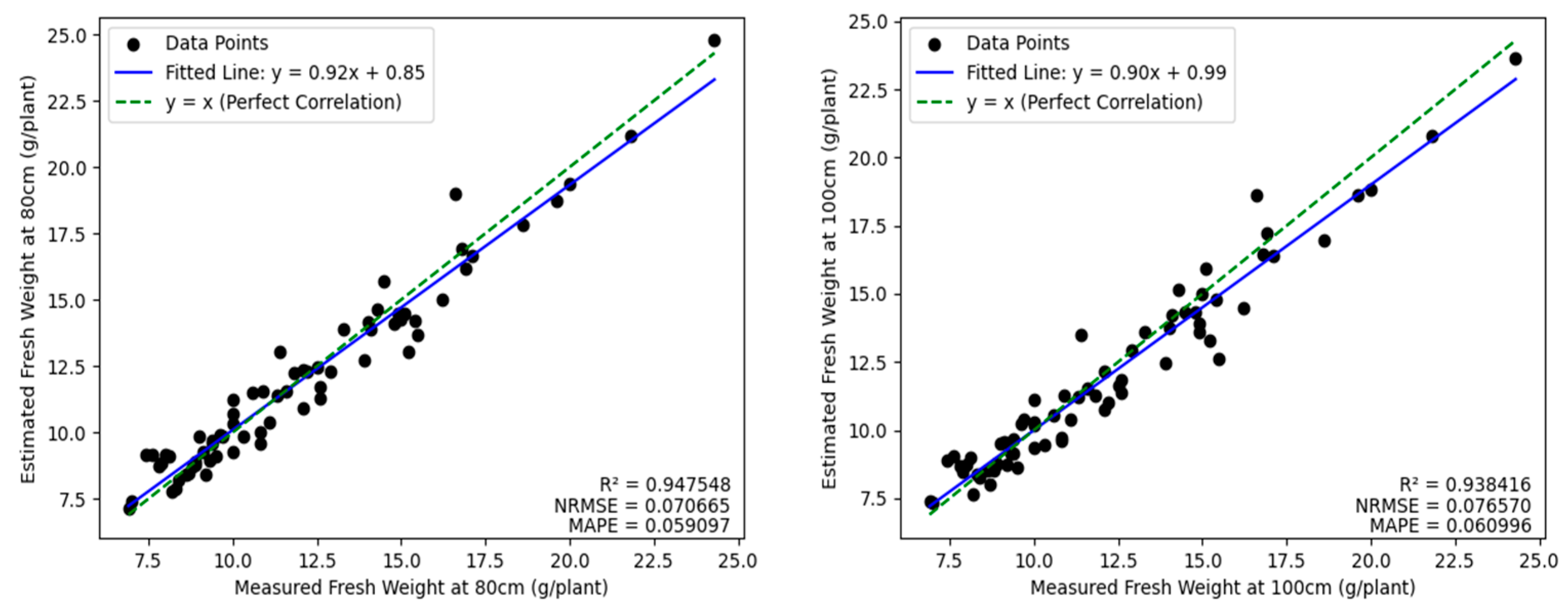 Agronomy 15 01036 g012