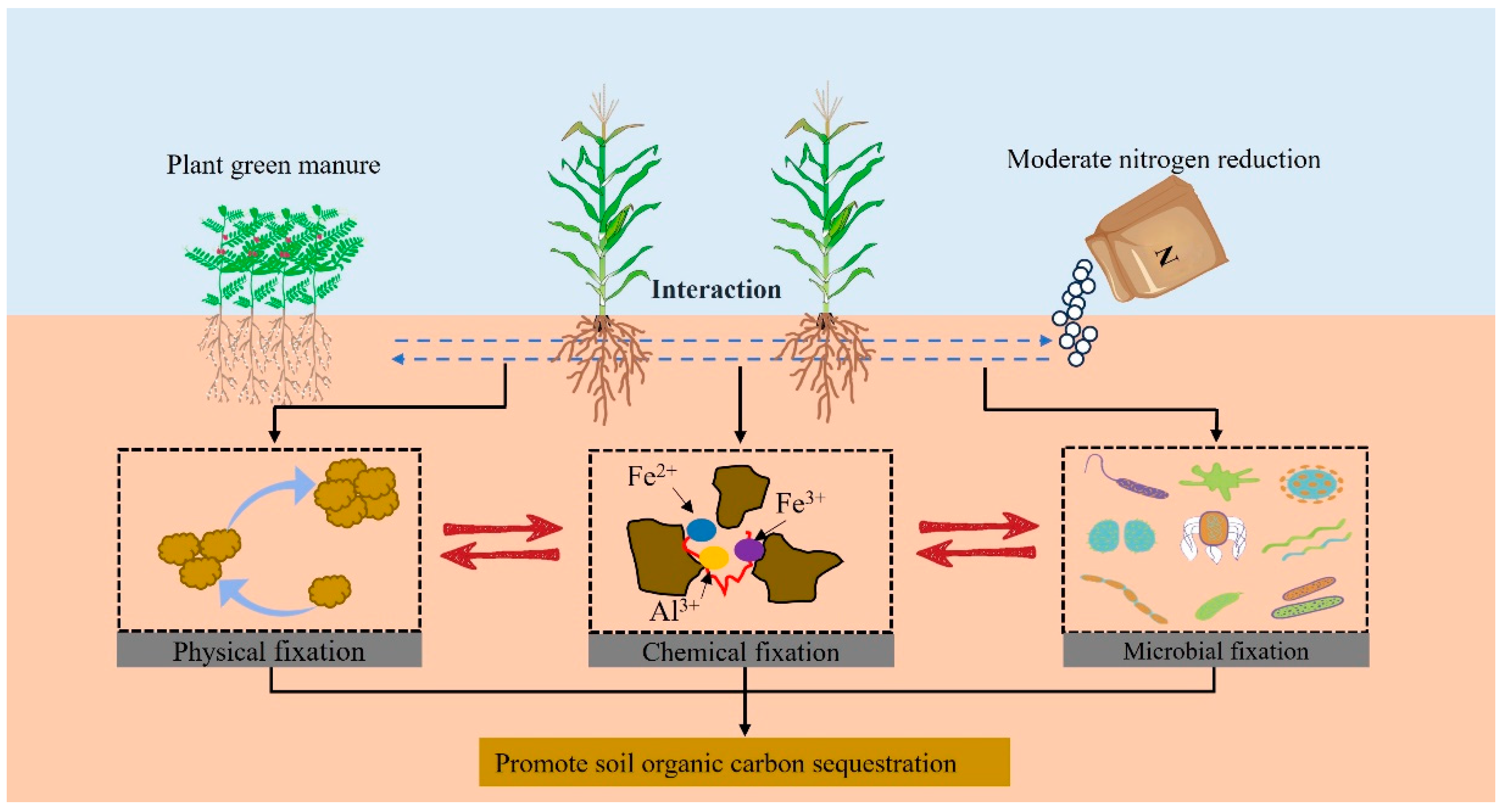 Agronomy 15 01042 g003