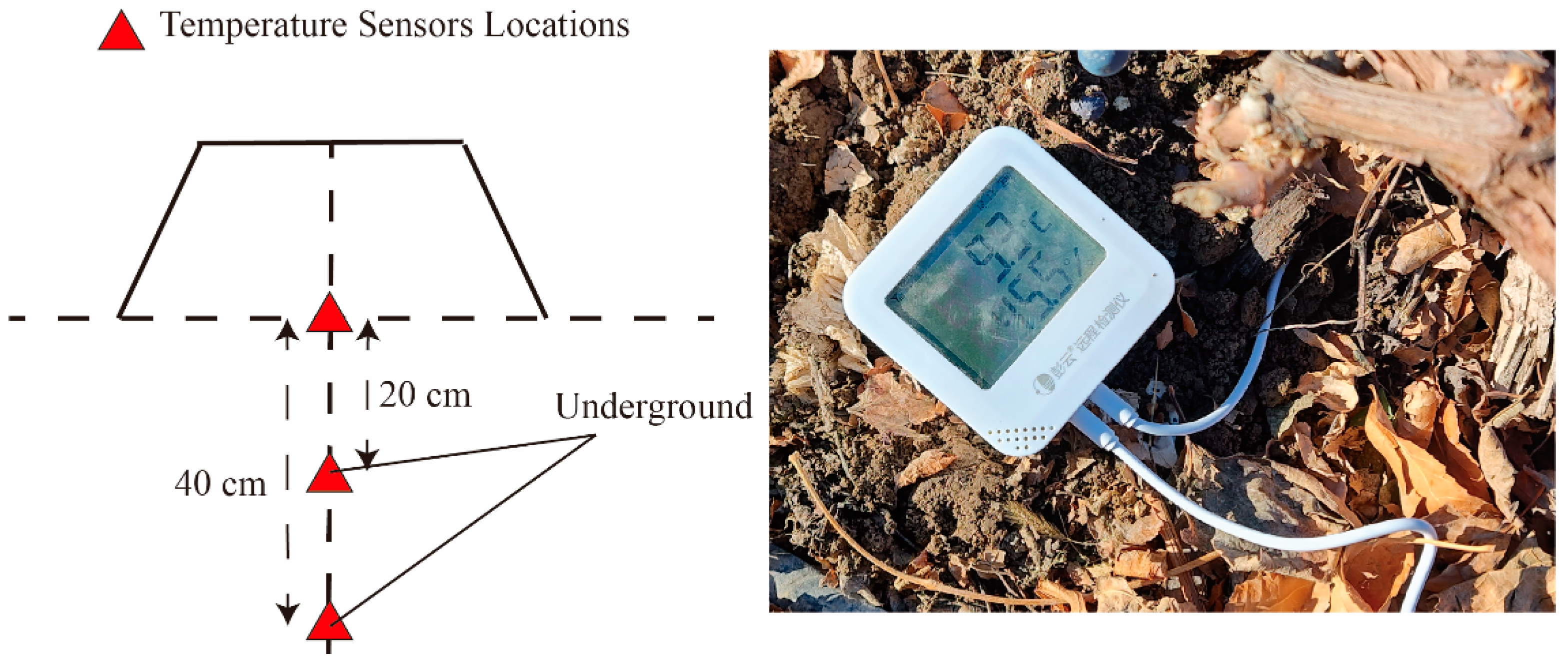 Agronomy 15 01060 g002
