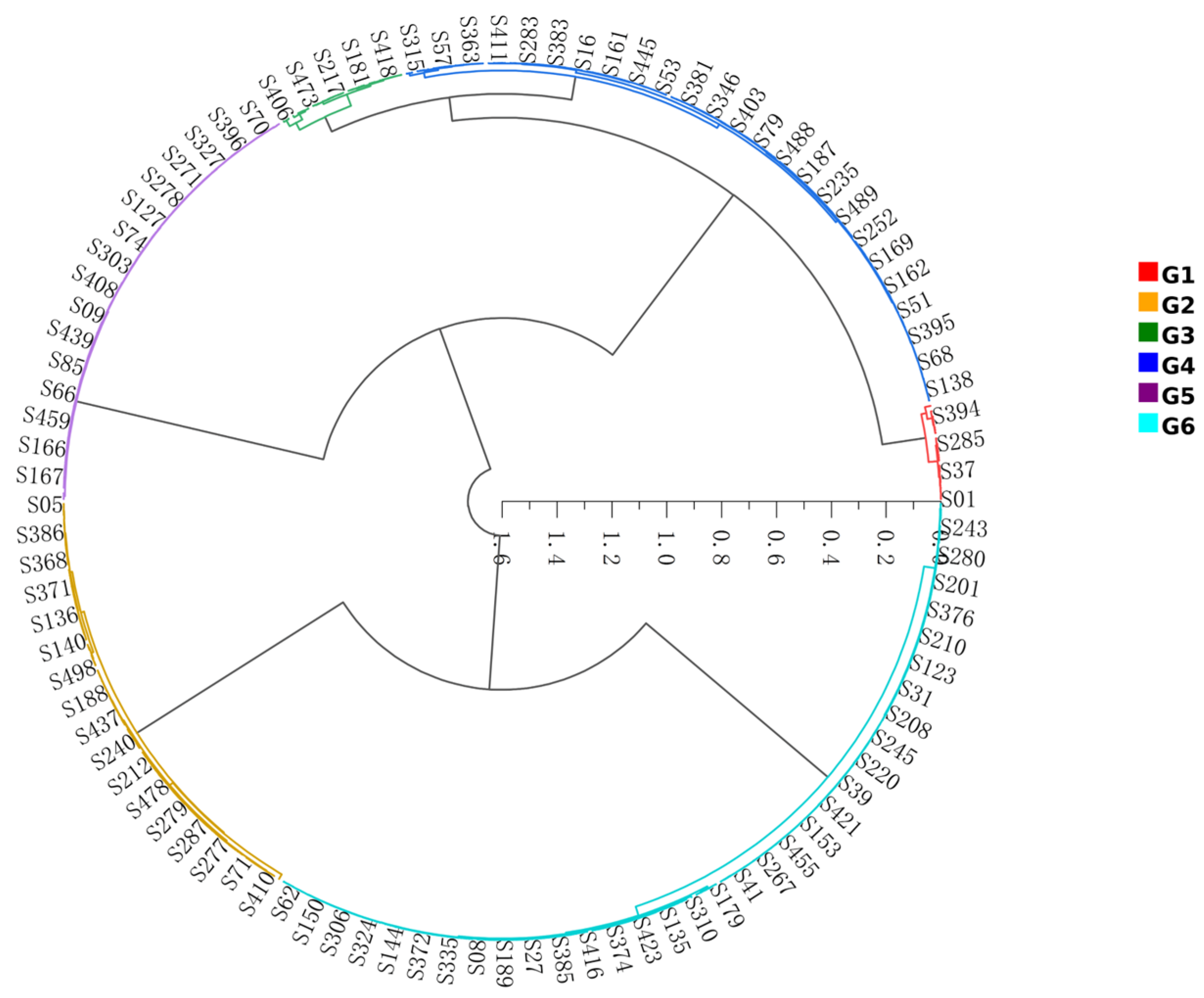 Agronomy 15 01061 g001