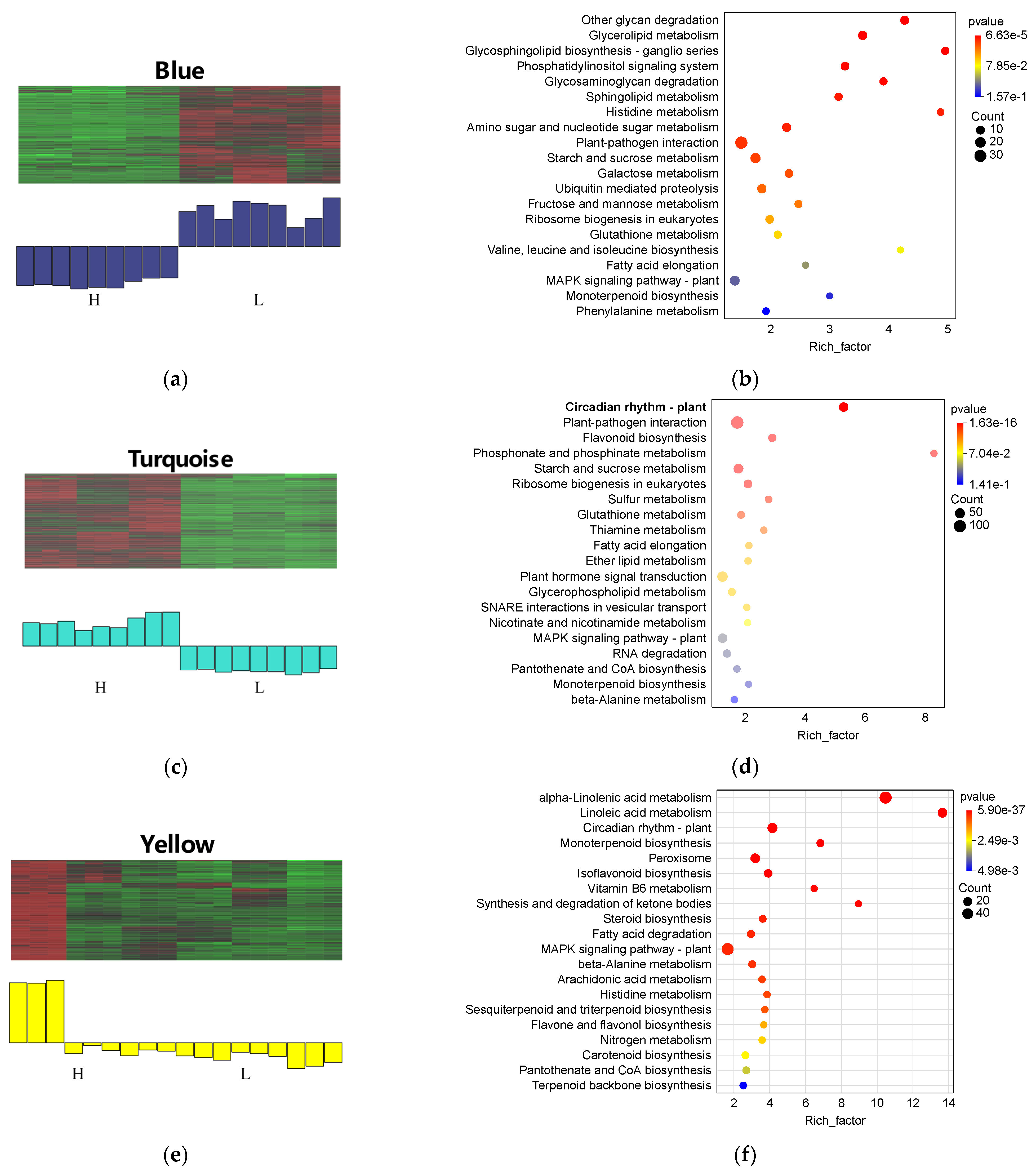 Agronomy 15 01061 g008