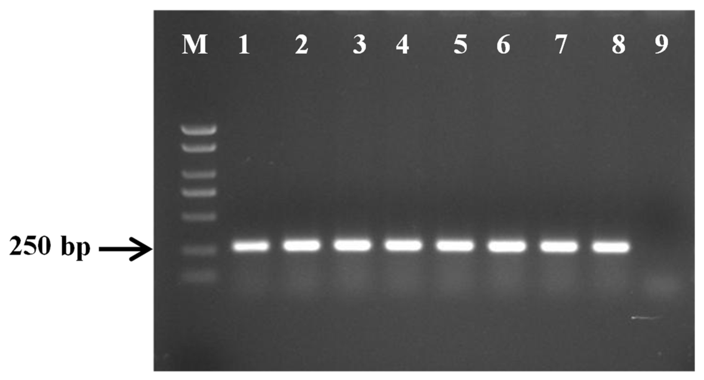Agronomy 15 01065 g003