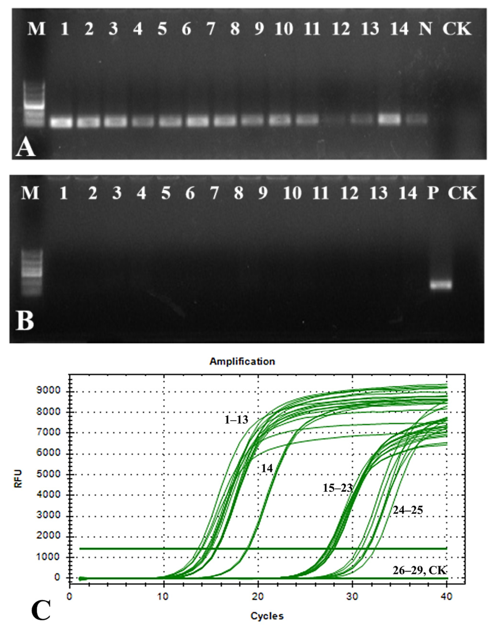 Agronomy 15 01065 g004