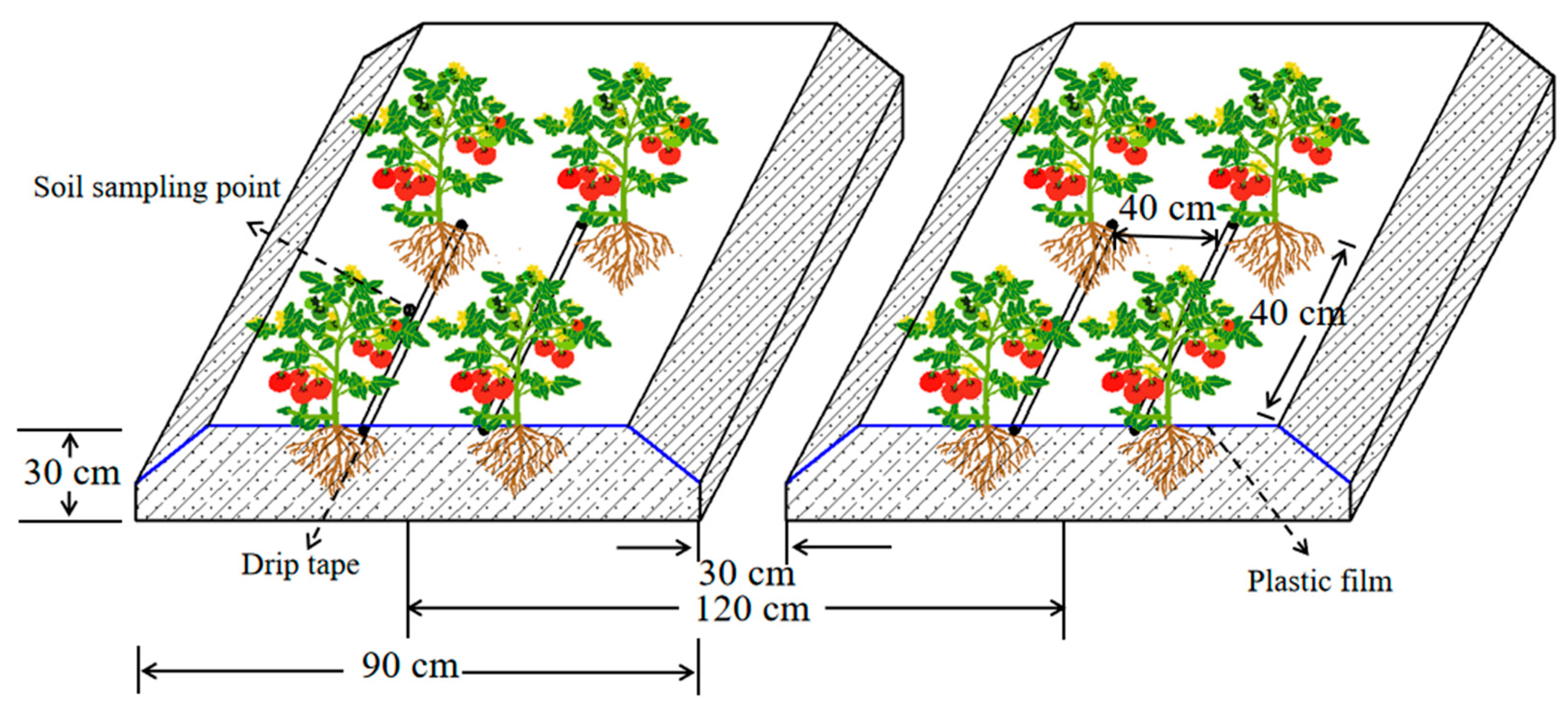 Agronomy 15 01068 g002