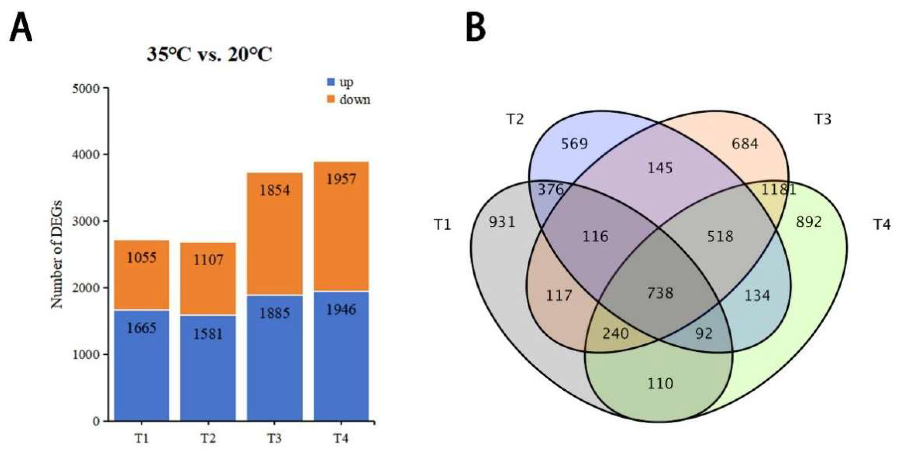 Agronomy 15 01071 g002