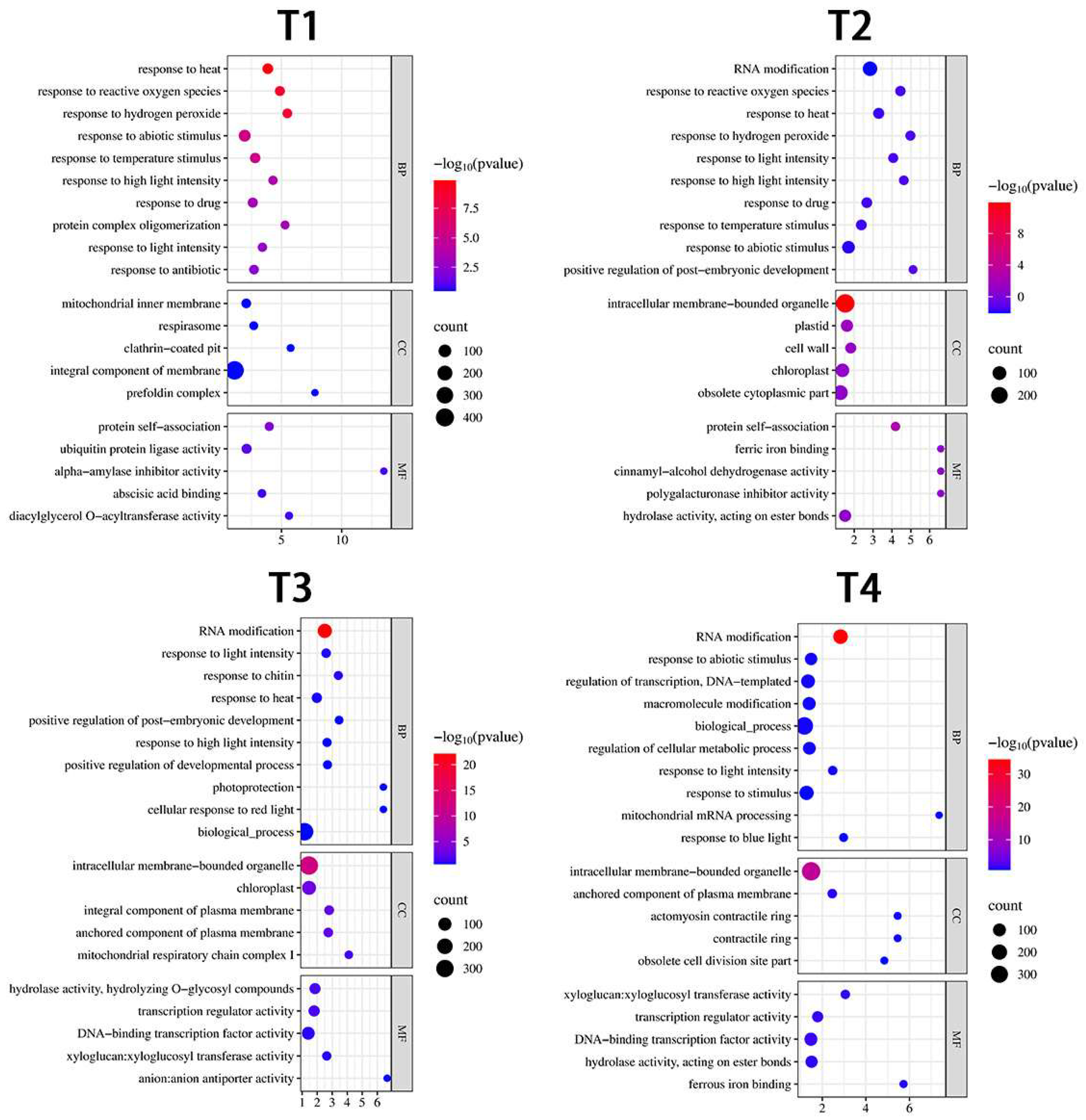 Agronomy 15 01071 g003
