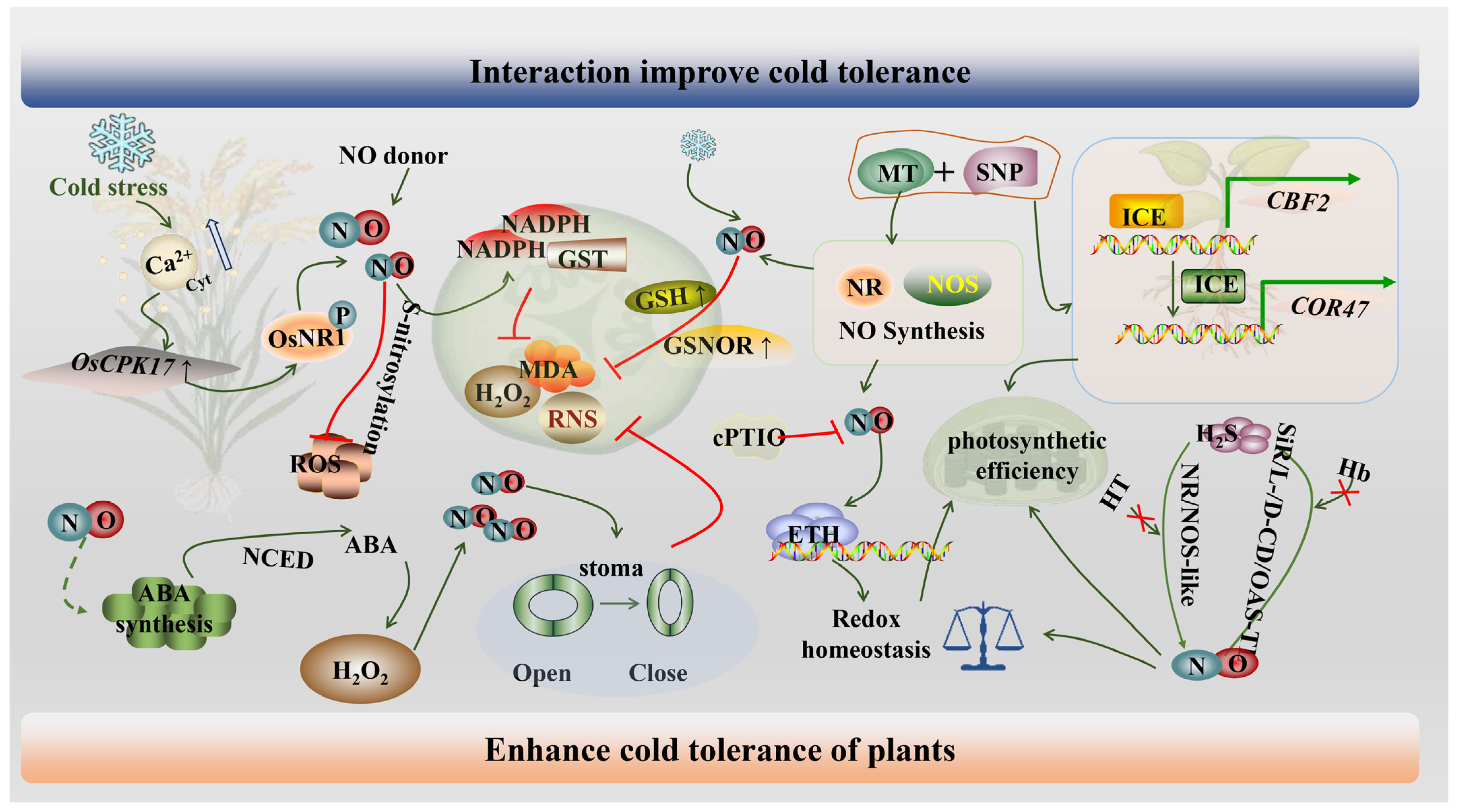 Agronomy 15 01072 g003 Agronomy 15 01072 g003