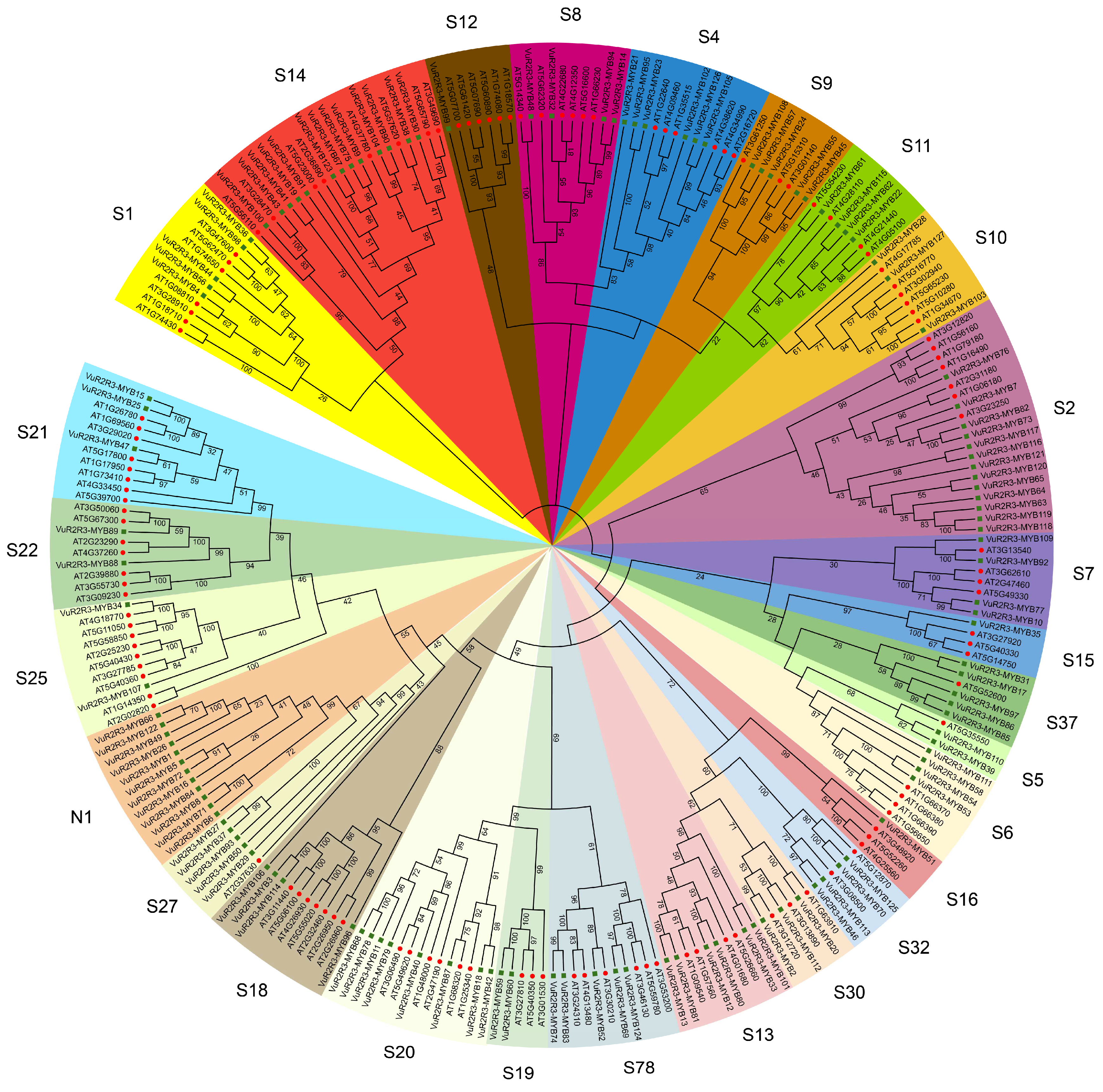 Agronomy 15 01075 g001