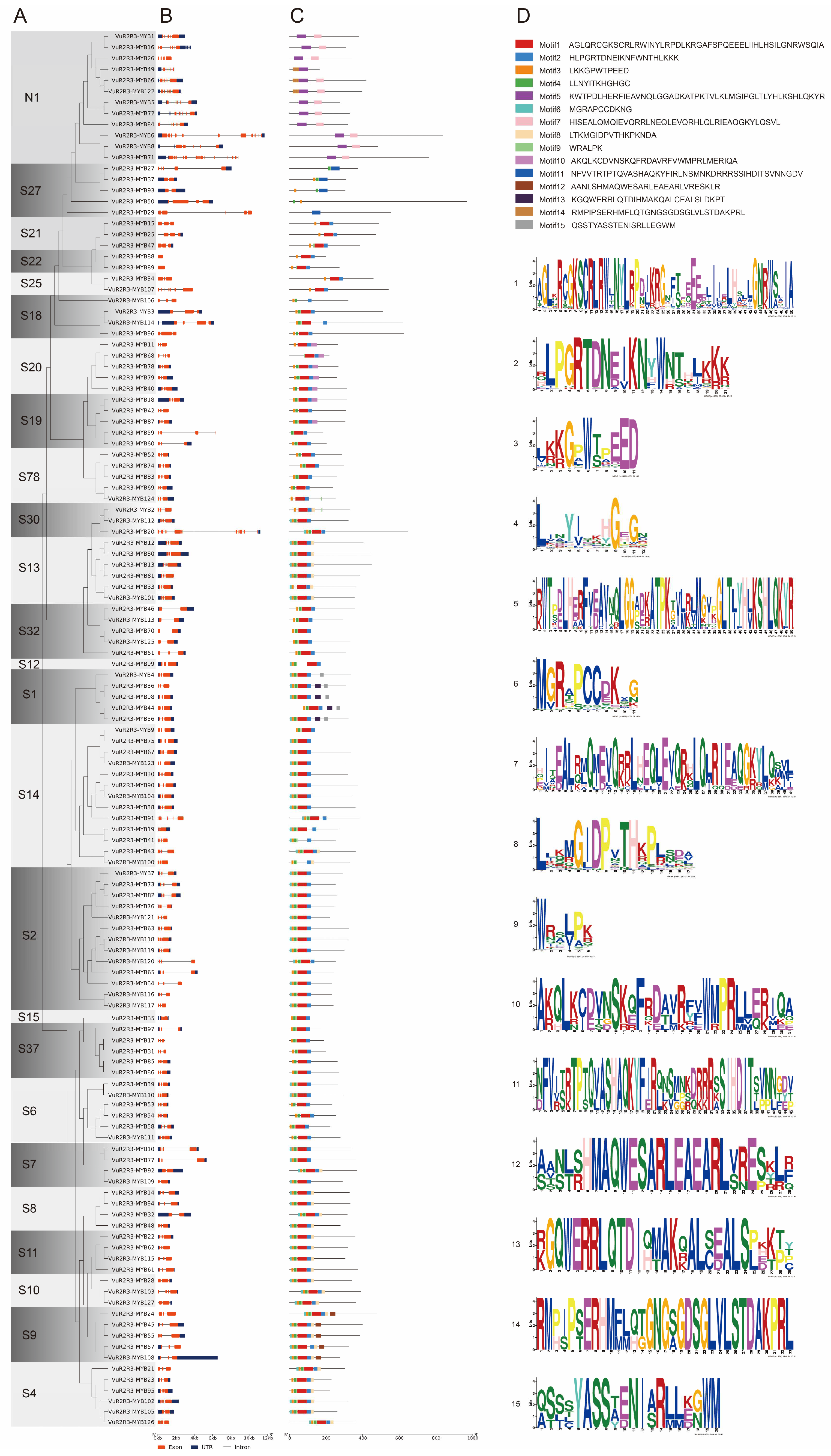 Agronomy 15 01075 g002