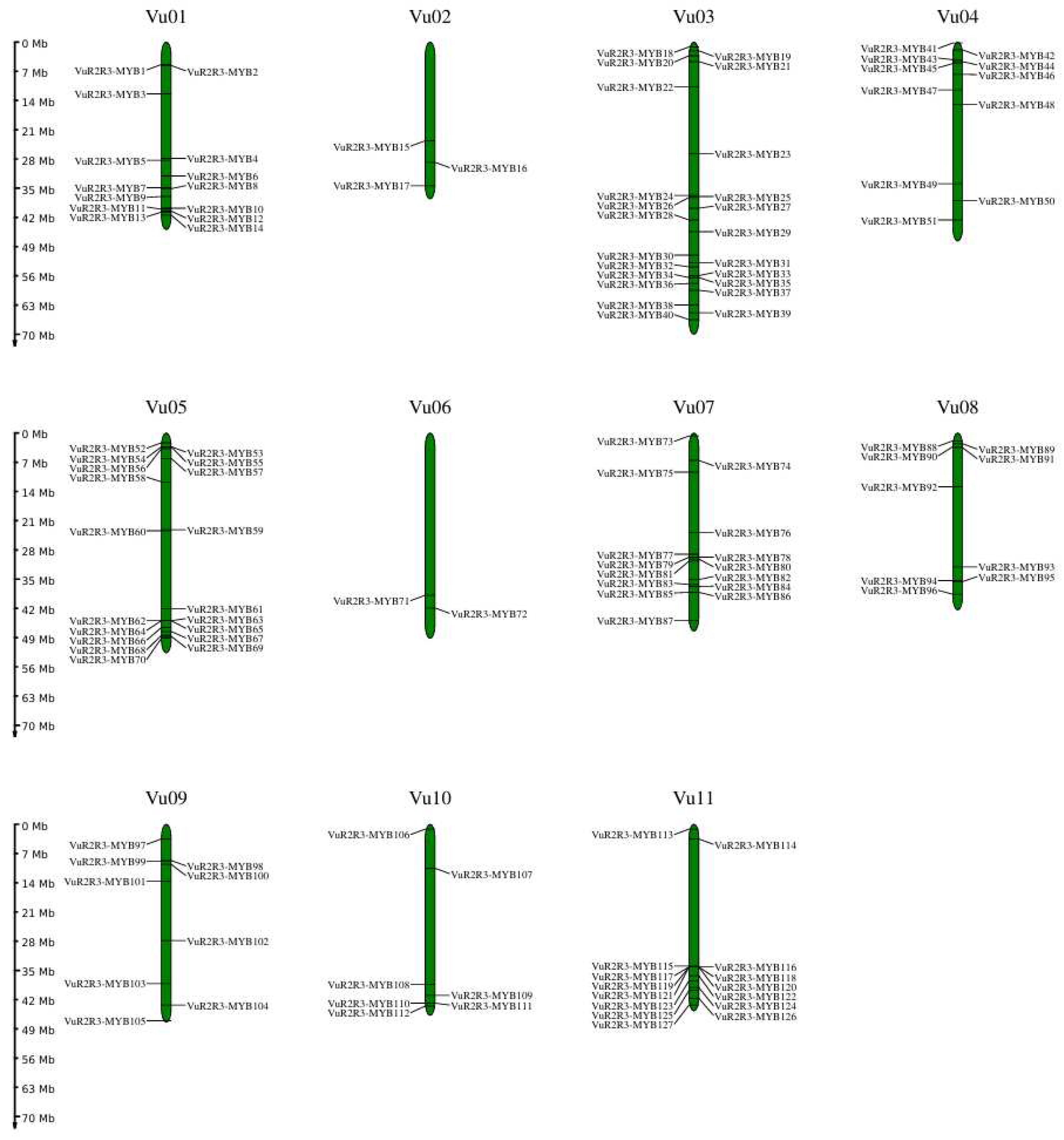 Agronomy 15 01075 g004