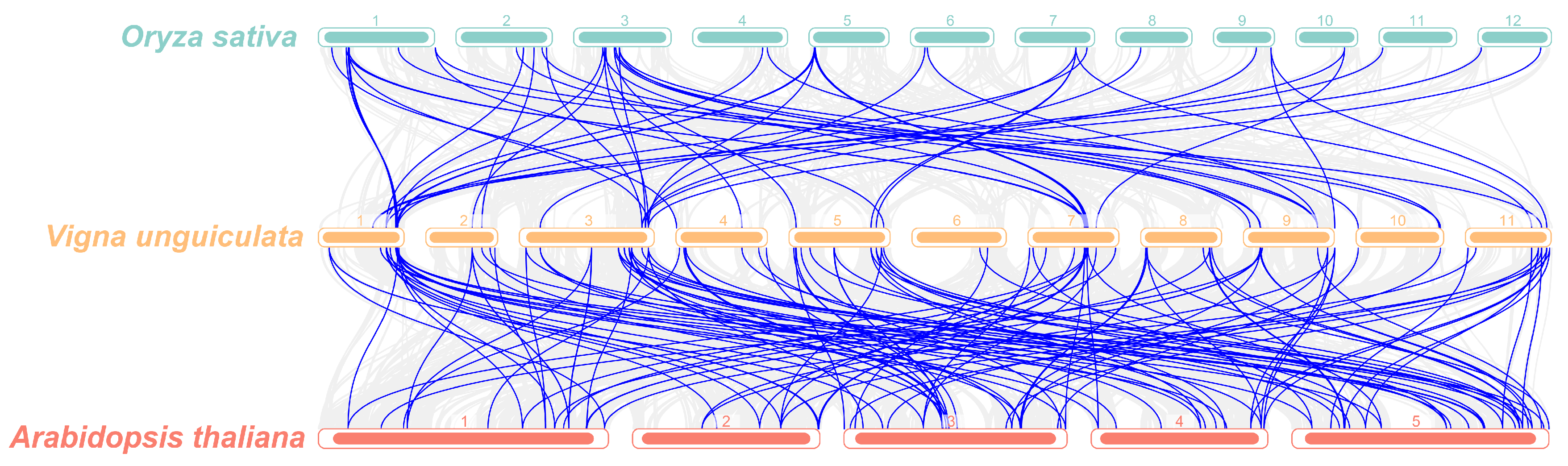 Agronomy 15 01075 g006a