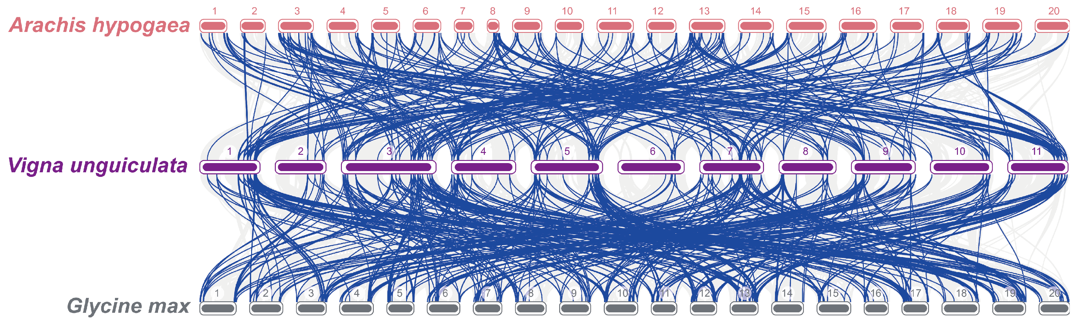 Agronomy 15 01075 g006b