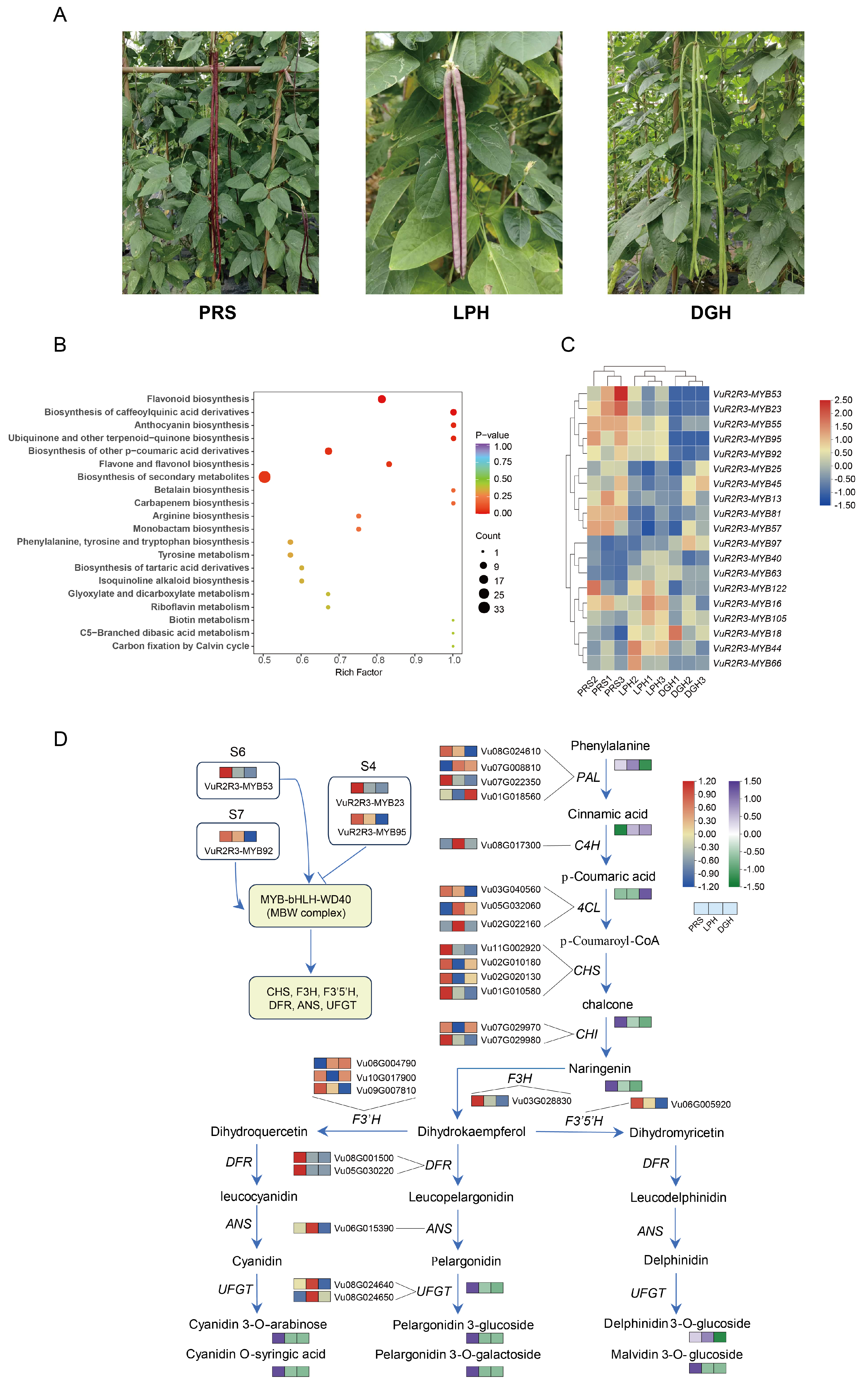 Agronomy 15 01075 g007