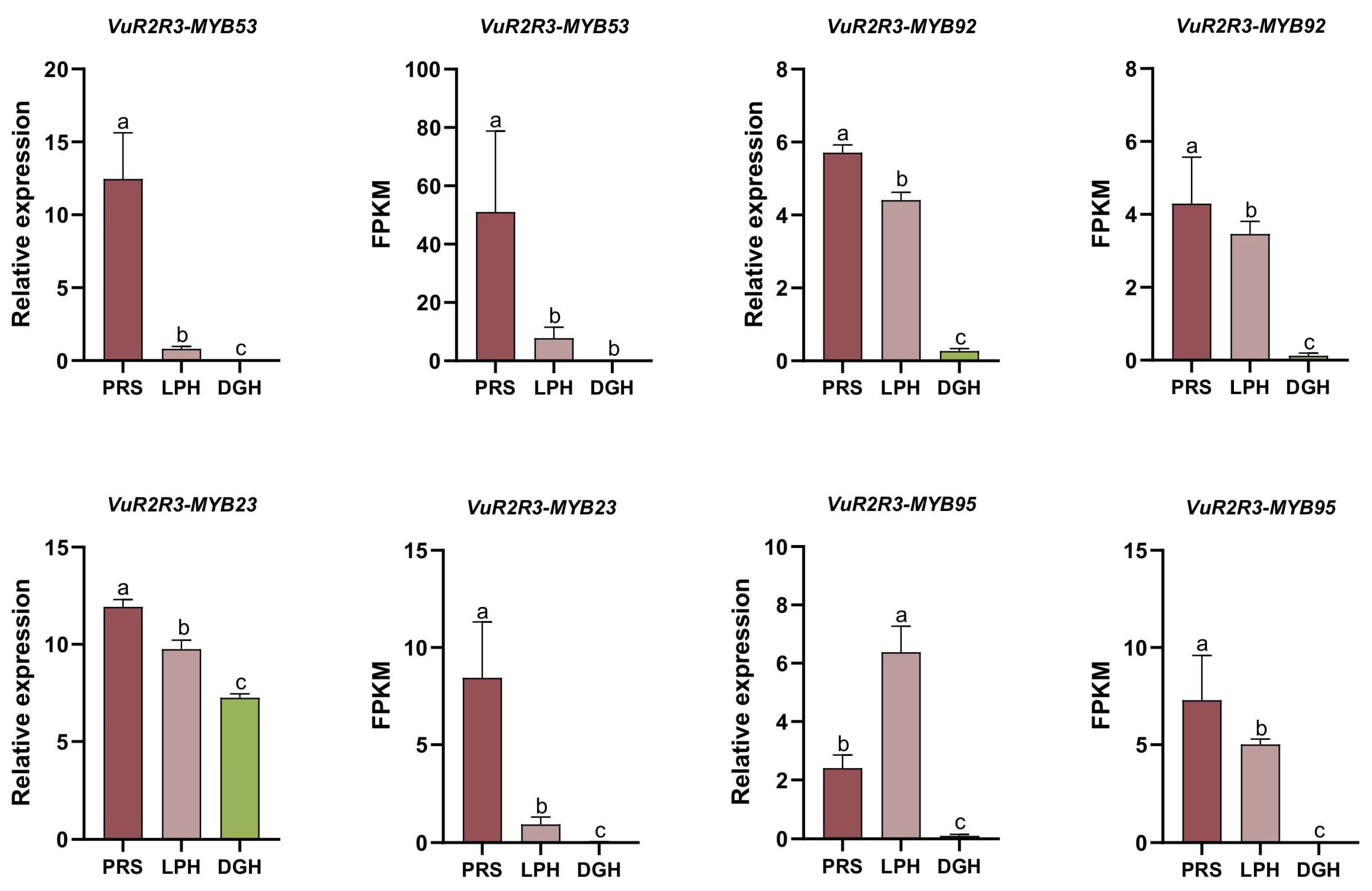 Agronomy 15 01075 g008