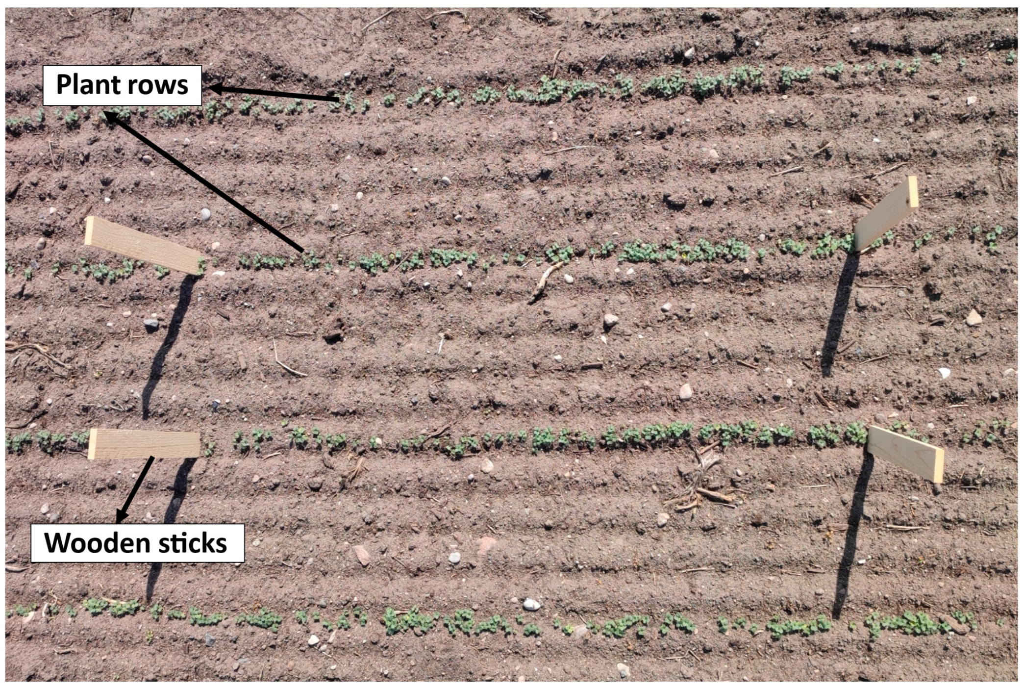 Agronomy 15 01076 g005