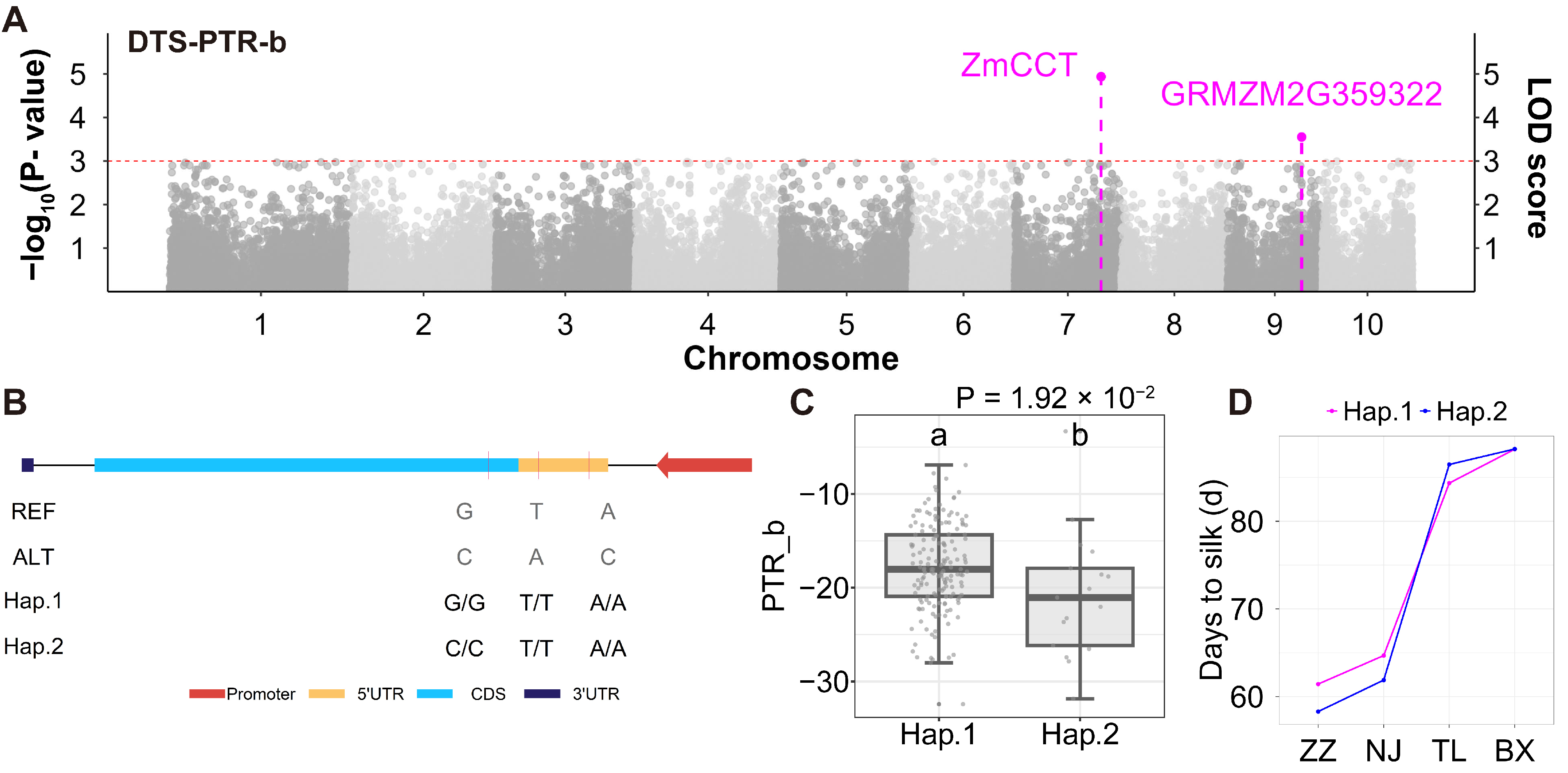 Agronomy 15 01078 g006 Agronomy 15 01078 g006
