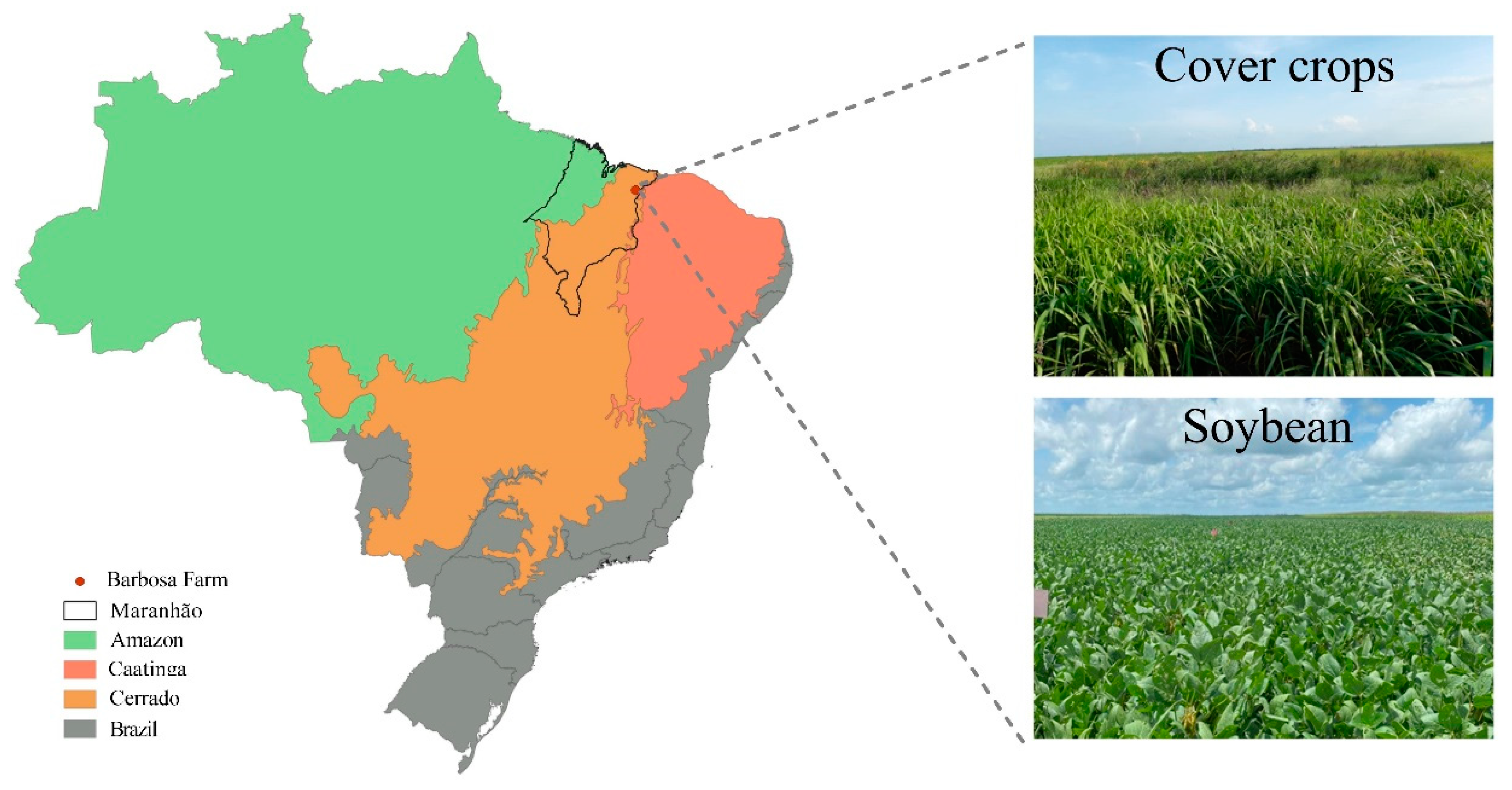 Agronomy 15 01083 g001