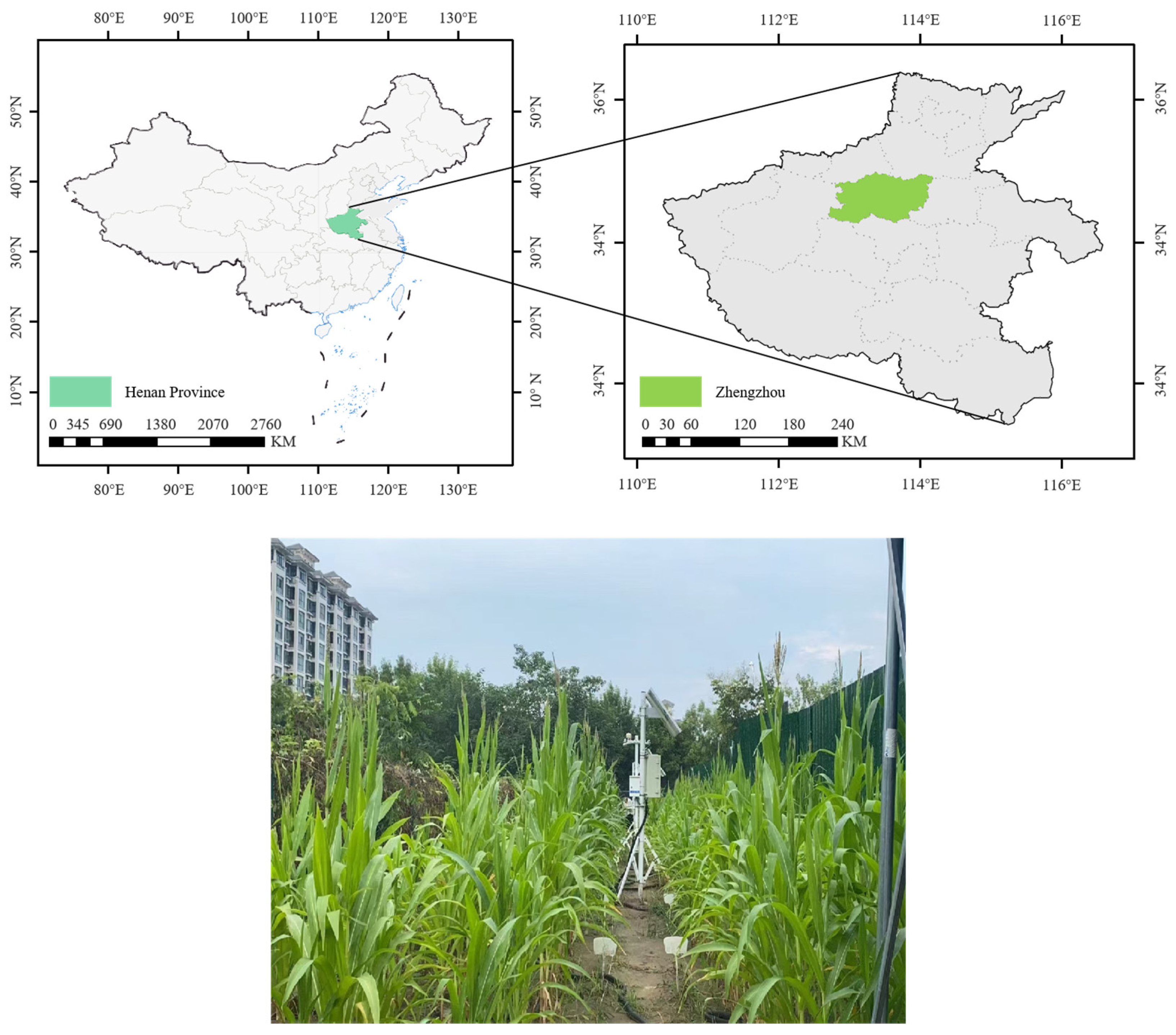 Agronomy 15 01085 g001