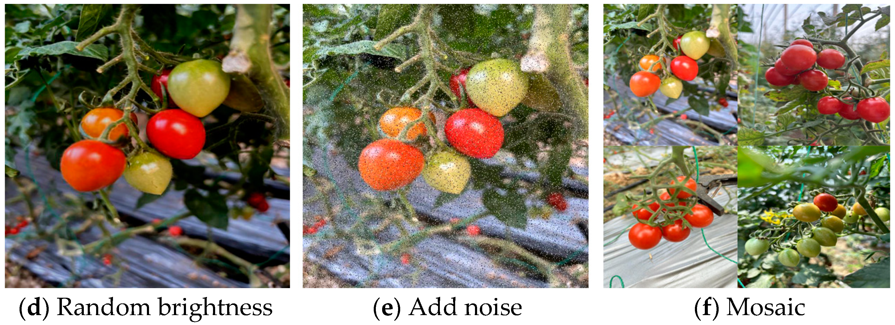 Agronomy 15 01088 g002b